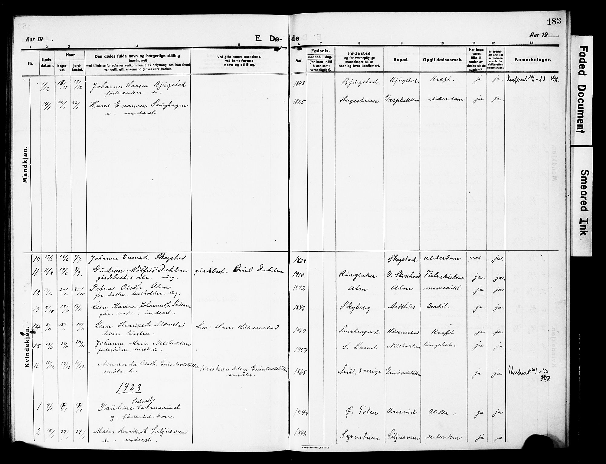 Vardal prestekontor, SAH/PREST-100/H/Ha/Hab/L0015: Parish register (copy) no. 15, 1914-1931, p. 183