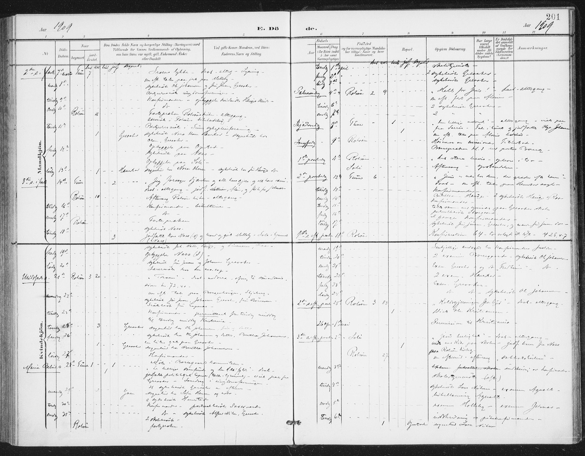 Rolvsøy prestekontor Kirkebøker, AV/SAO-A-2004/F/Fa/L0001: Parish register (official) no. 1, 1901-1909, p. 201