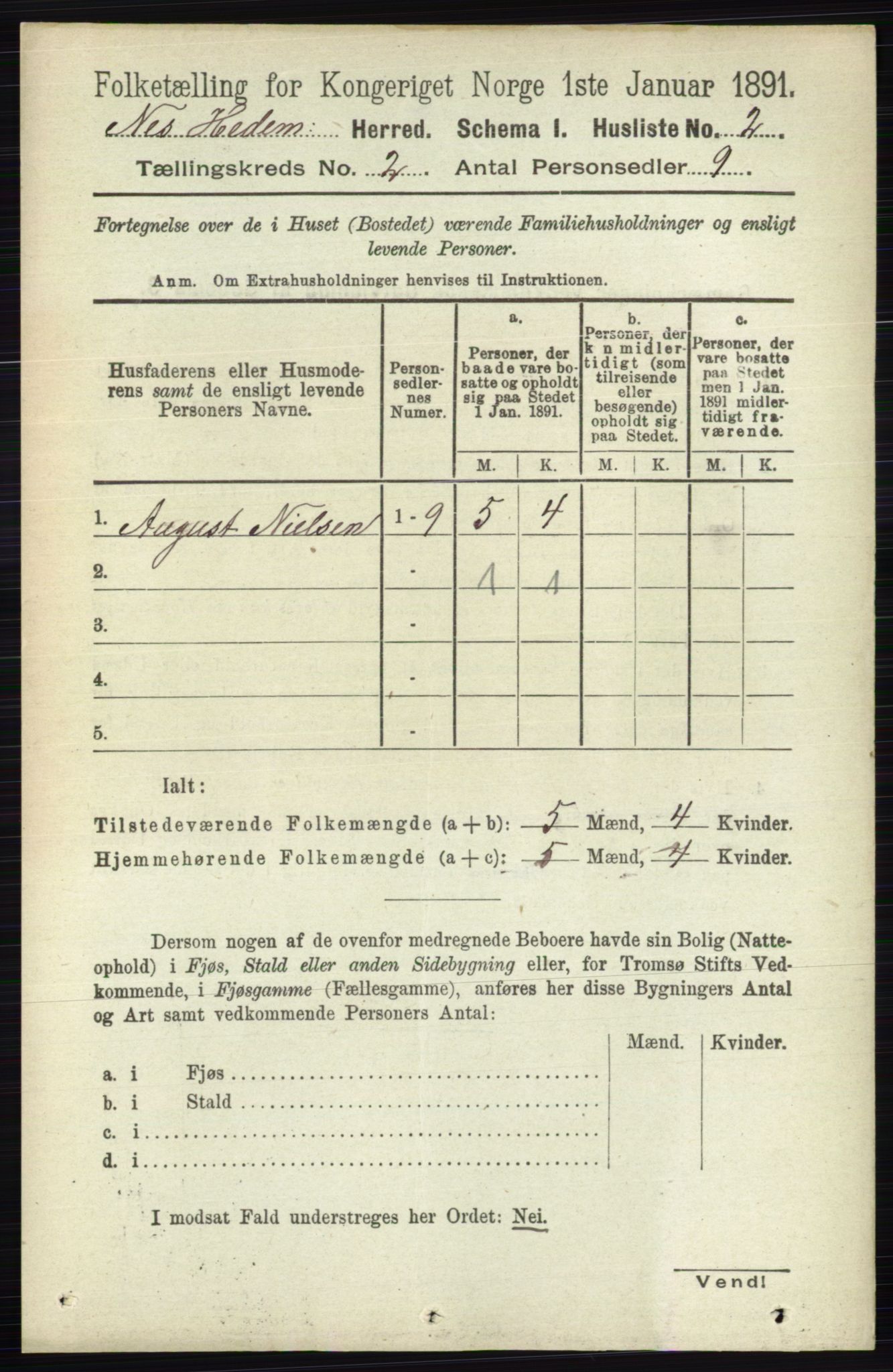 RA, 1891 census for 0411 Nes, 1891, p. 1005