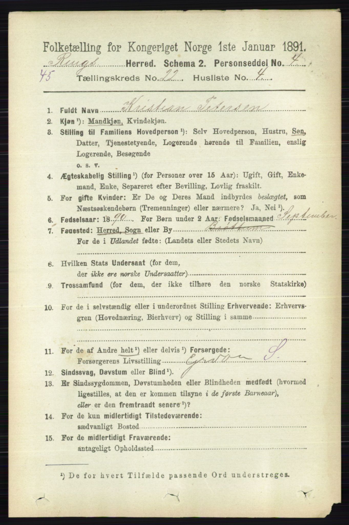 RA, 1891 census for 0412 Ringsaker, 1891, p. 12394