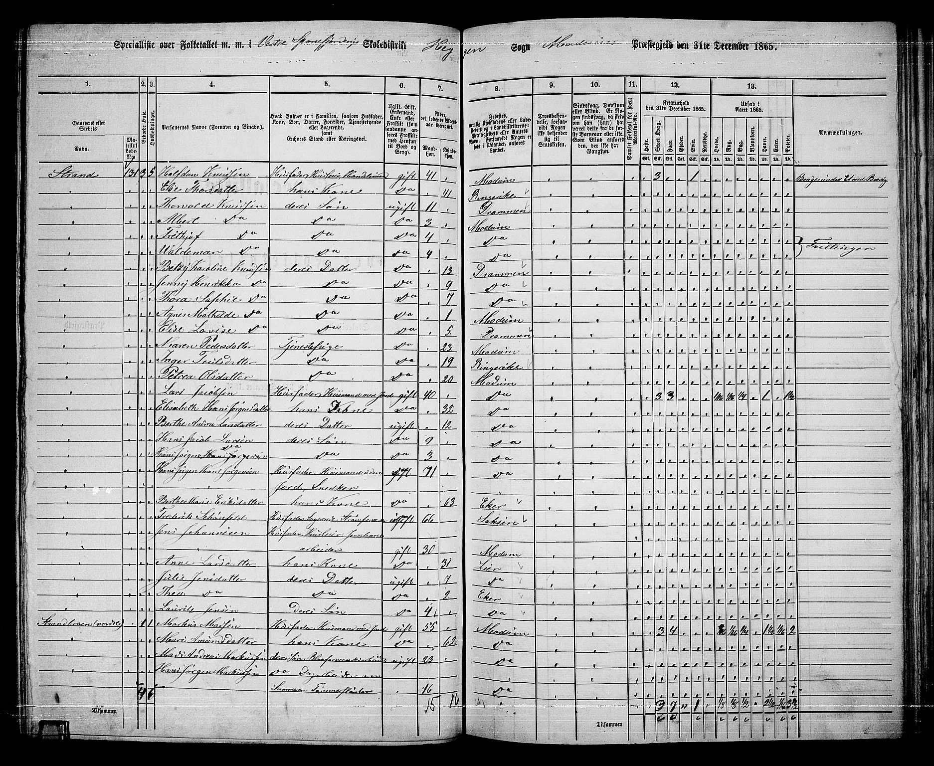 RA, 1865 census for Modum, 1865, p. 187