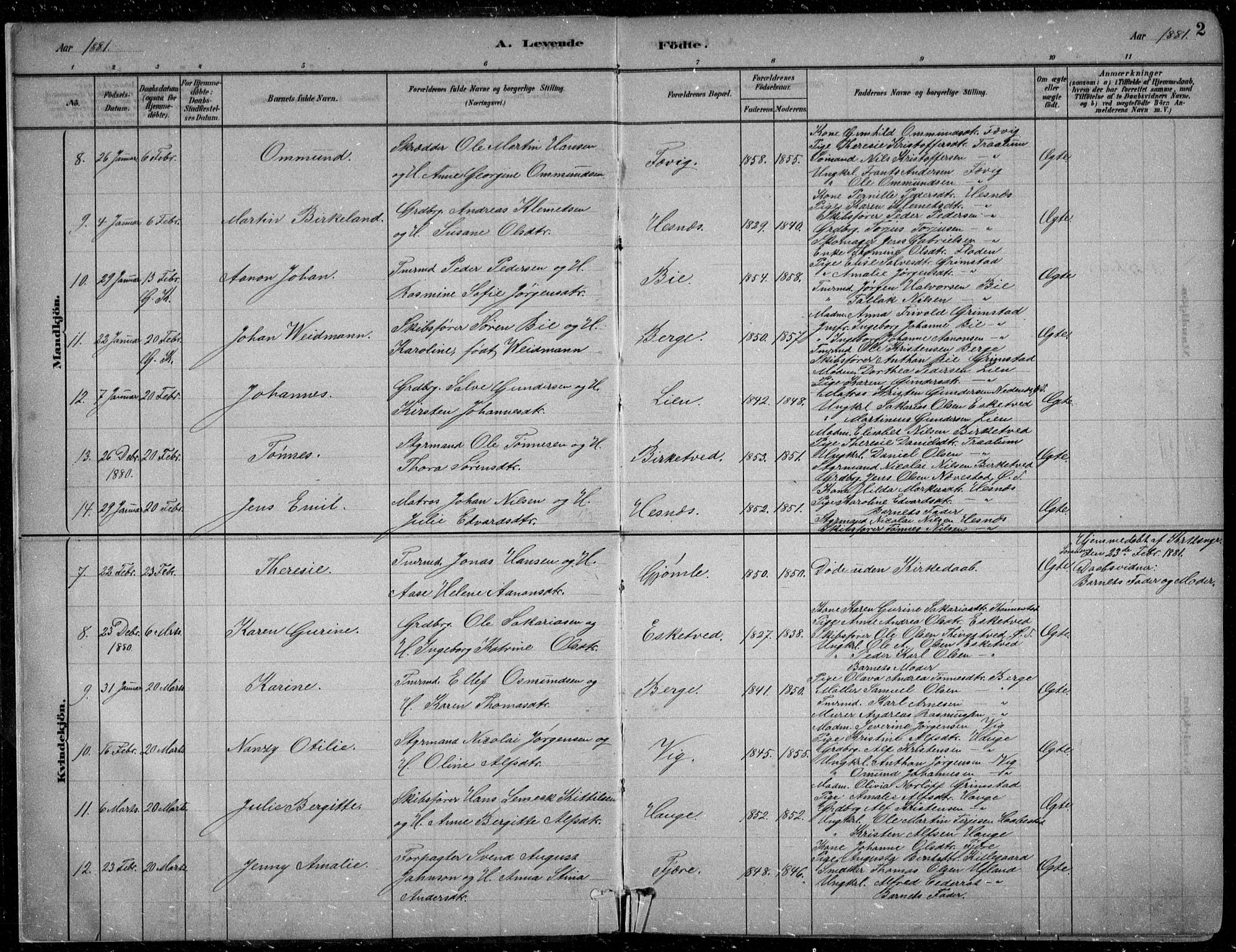 Fjære sokneprestkontor, AV/SAK-1111-0011/F/Fb/L0011: Parish register (copy) no. B 11, 1881-1905, p. 2