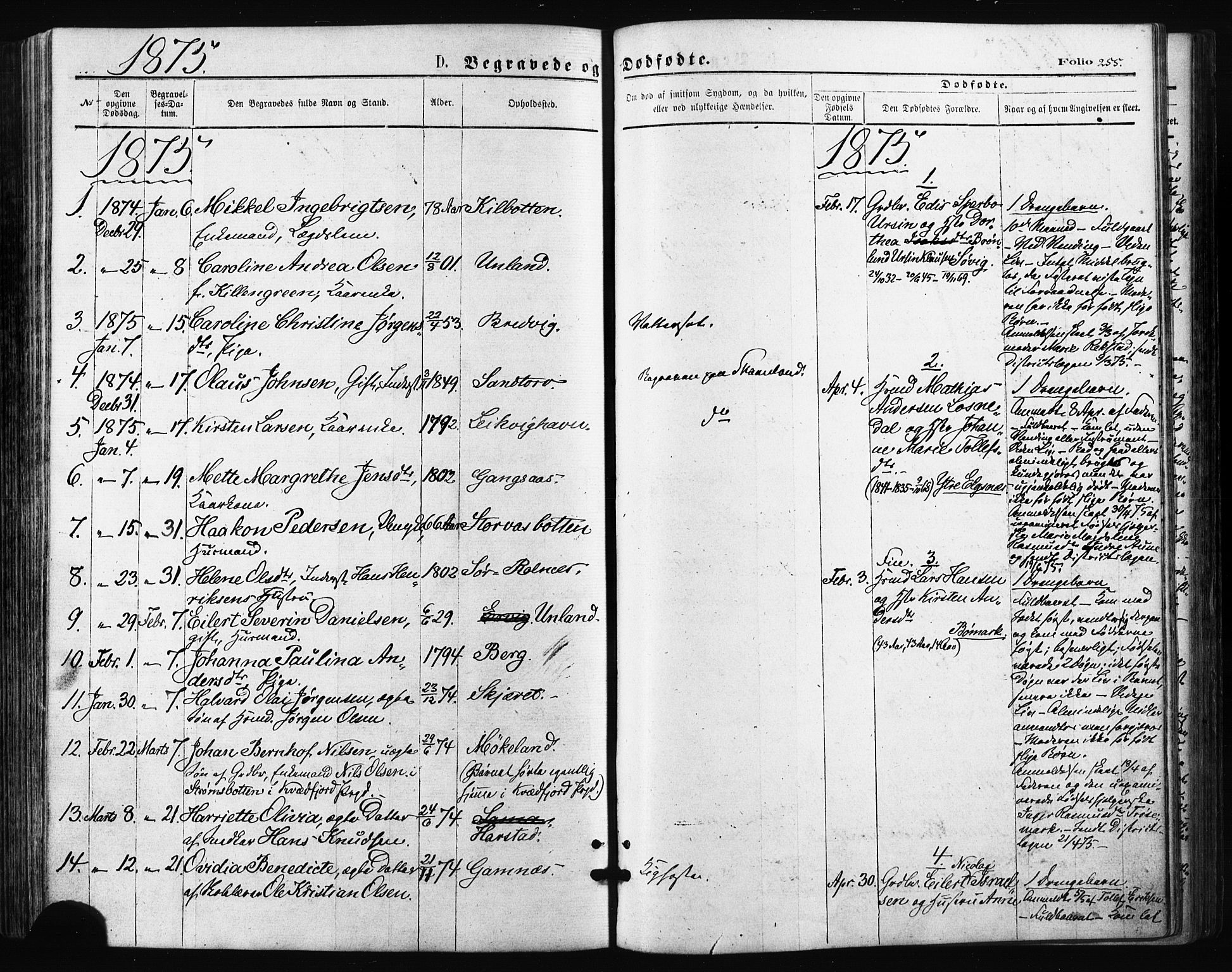 Trondenes sokneprestkontor, SATØ/S-1319/H/Ha/L0013kirke: Parish register (official) no. 13, 1870-1878, p. 255