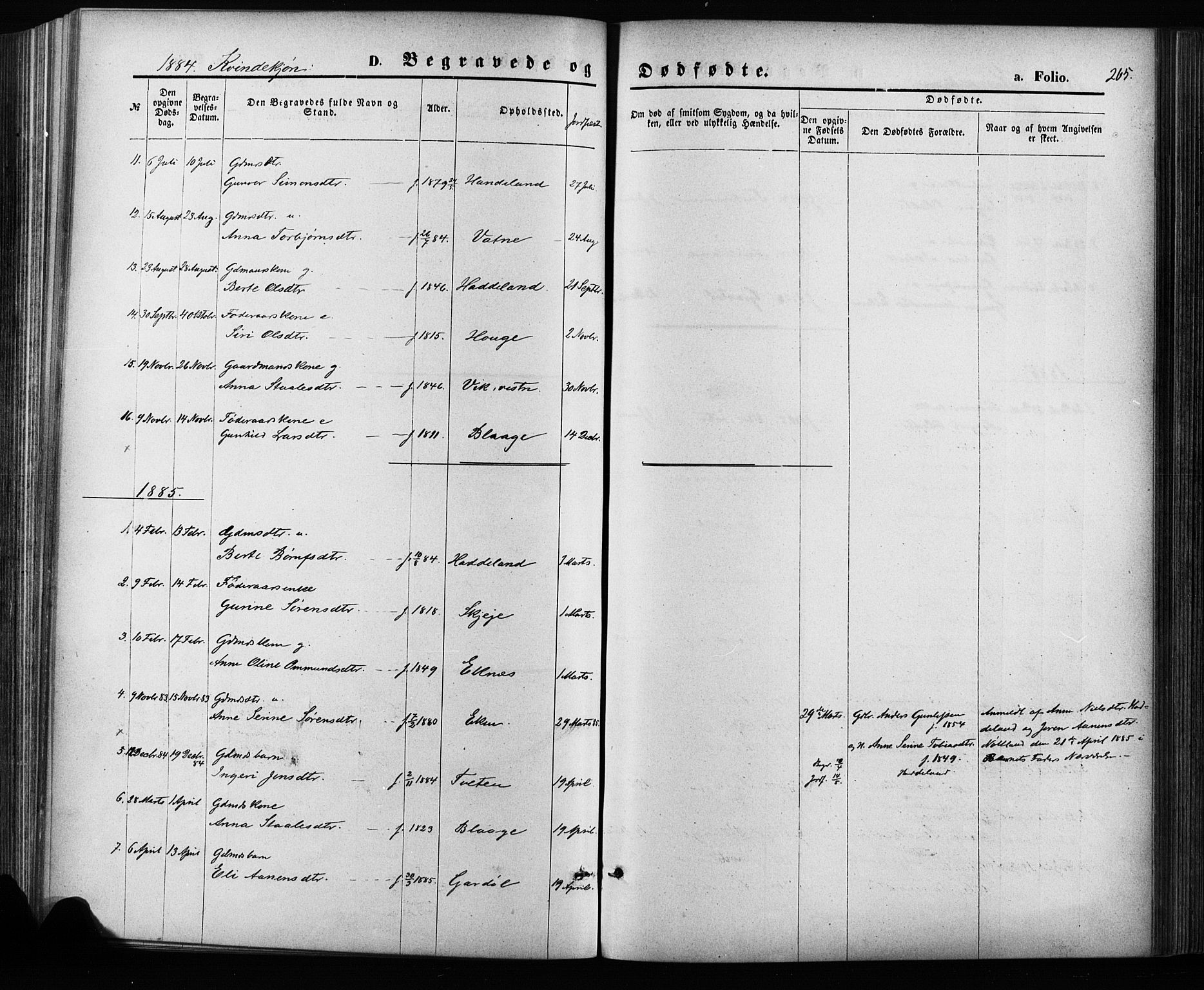 Hægebostad sokneprestkontor, SAK/1111-0024/F/Fa/Fab/L0003: Parish register (official) no. A 3, 1872-1886, p. 265