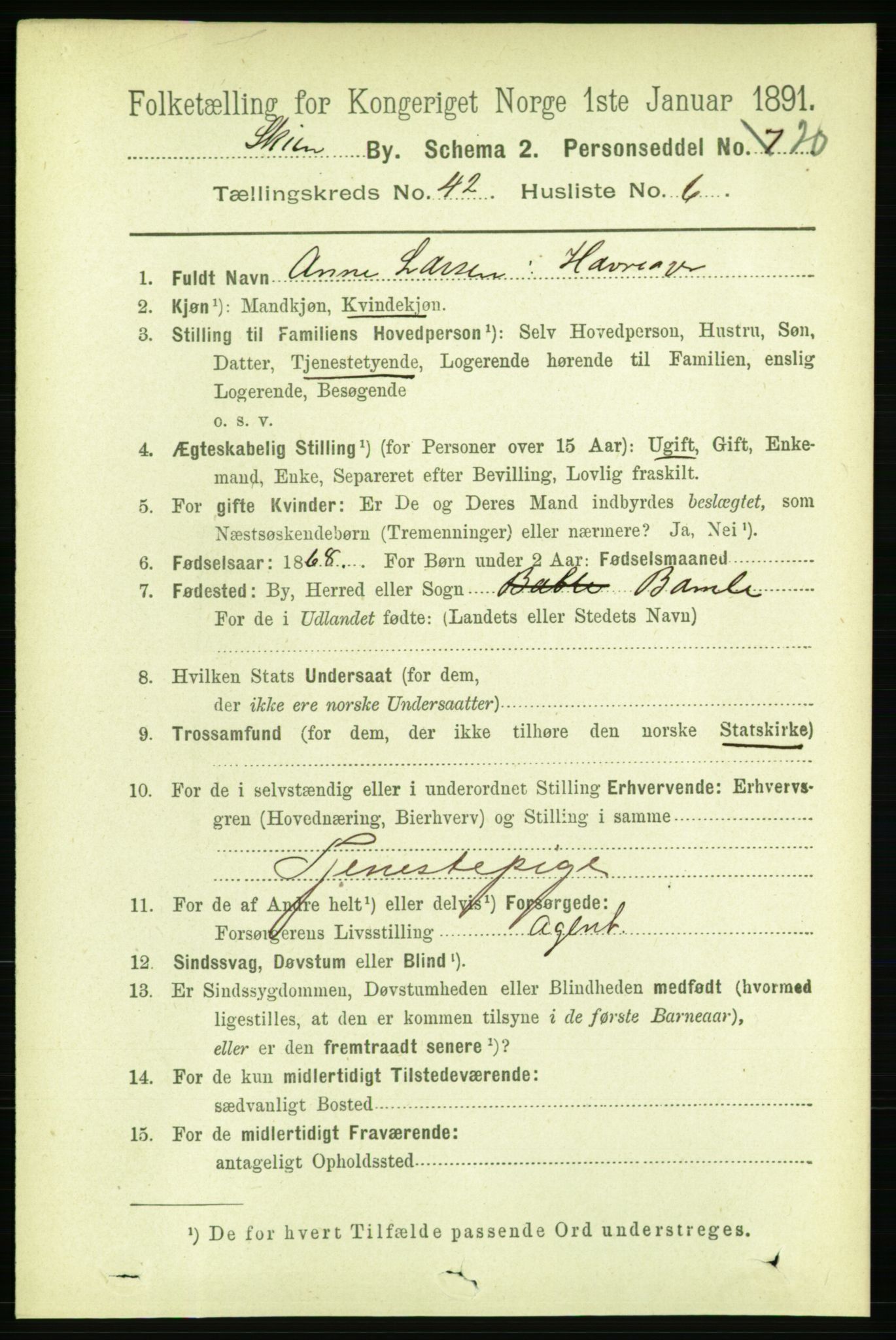 RA, 1891 census for 0806 Skien, 1891, p. 8583