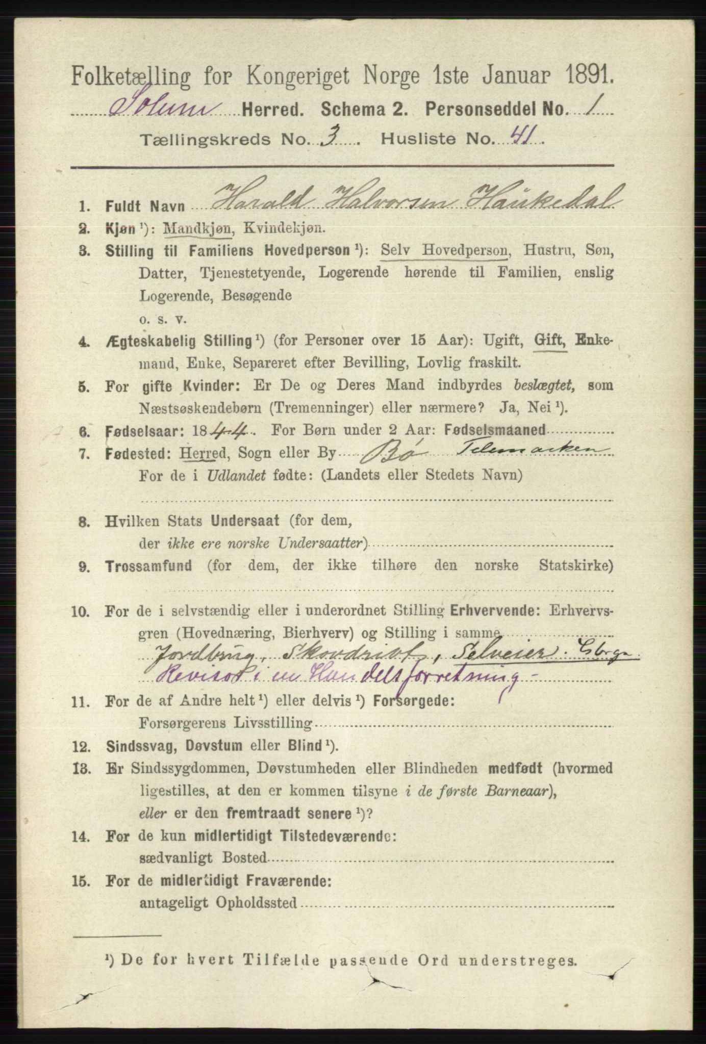 RA, 1891 census for 0818 Solum, 1891, p. 575