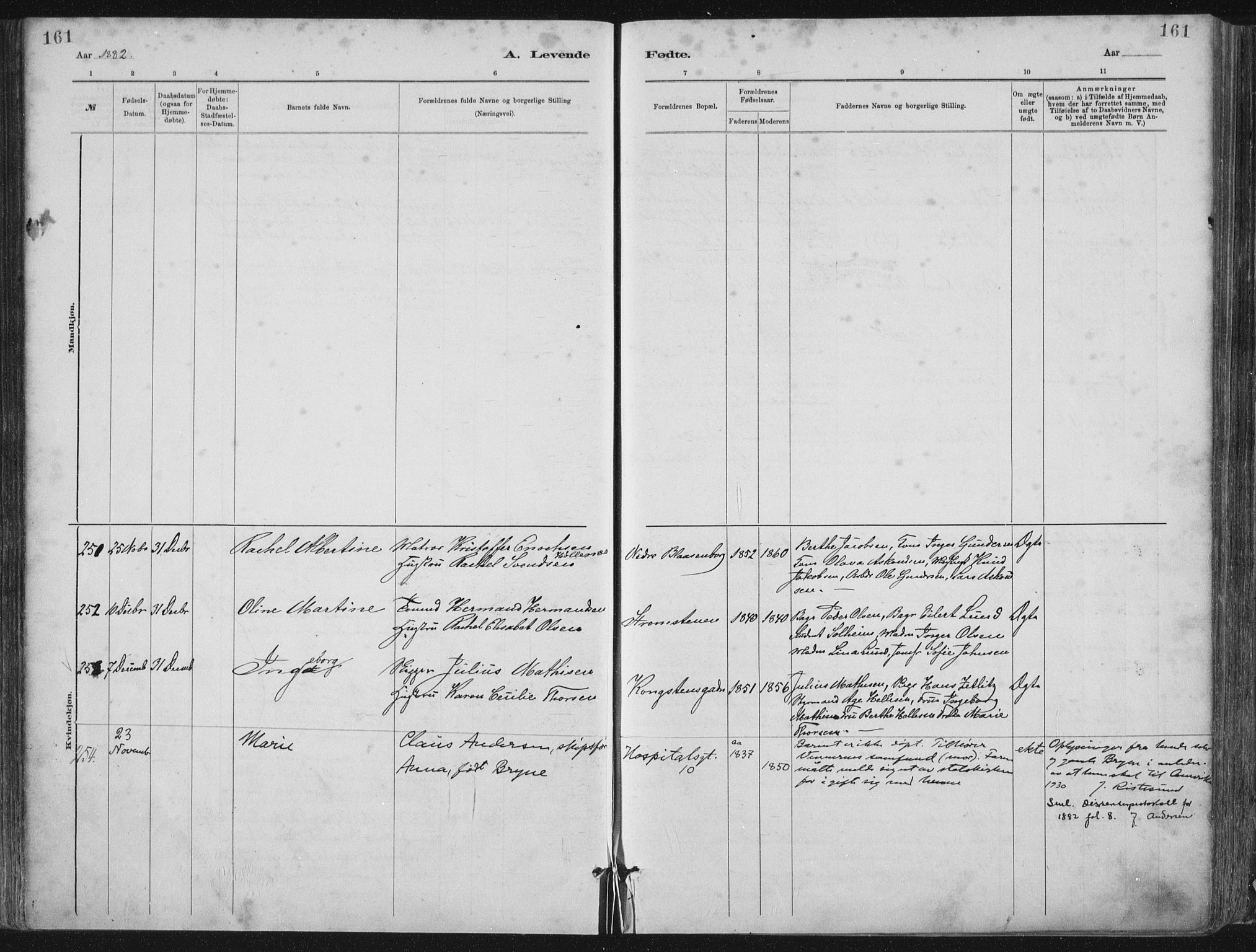 St. Petri sokneprestkontor, AV/SAST-A-101813/001/30/30BA/L0015: Parish register (official) no. A 15, 1879-1888, p. 161