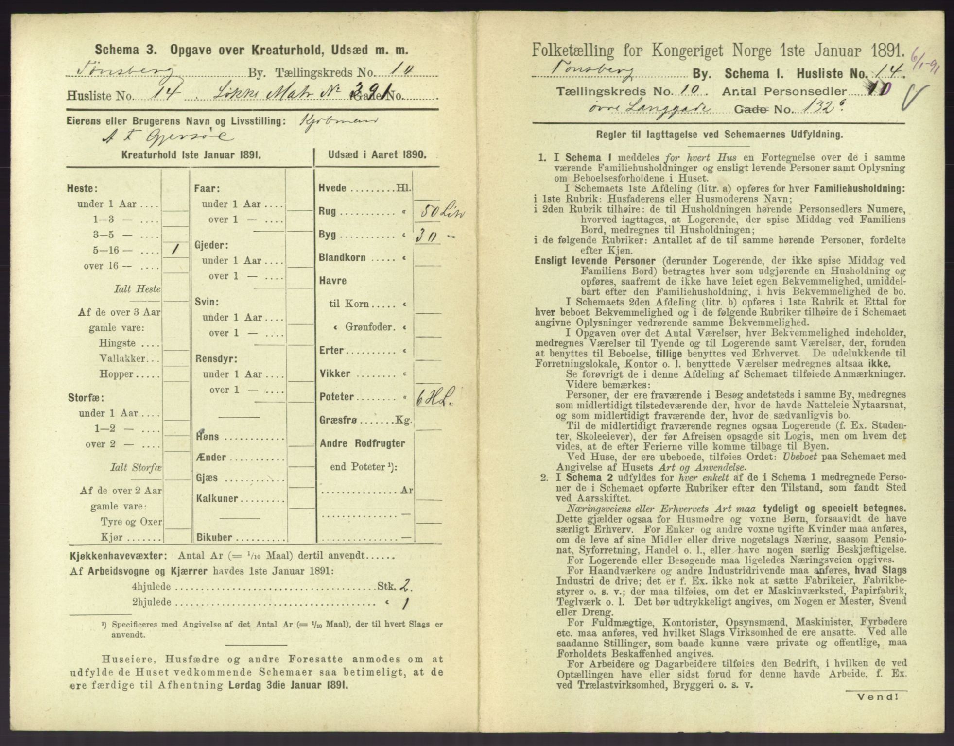 RA, 1891 census for 0705 Tønsberg, 1891, p. 424