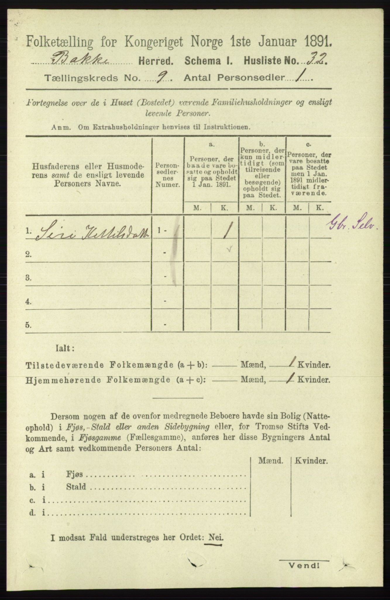 RA, 1891 census for 1045 Bakke, 1891, p. 1745