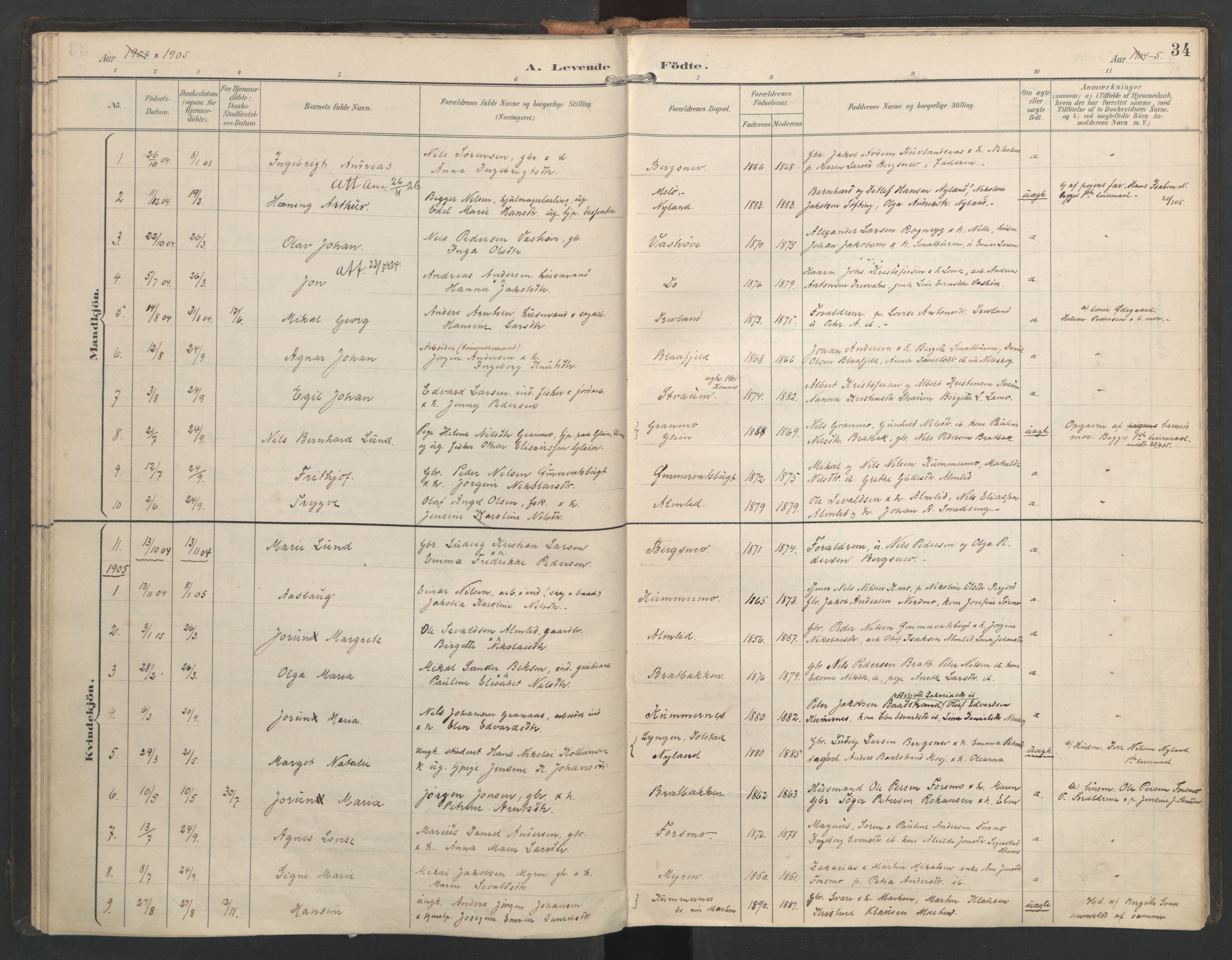 Ministerialprotokoller, klokkerbøker og fødselsregistre - Nordland, SAT/A-1459/821/L0317: Parish register (official) no. 821A01, 1892-1907, p. 34