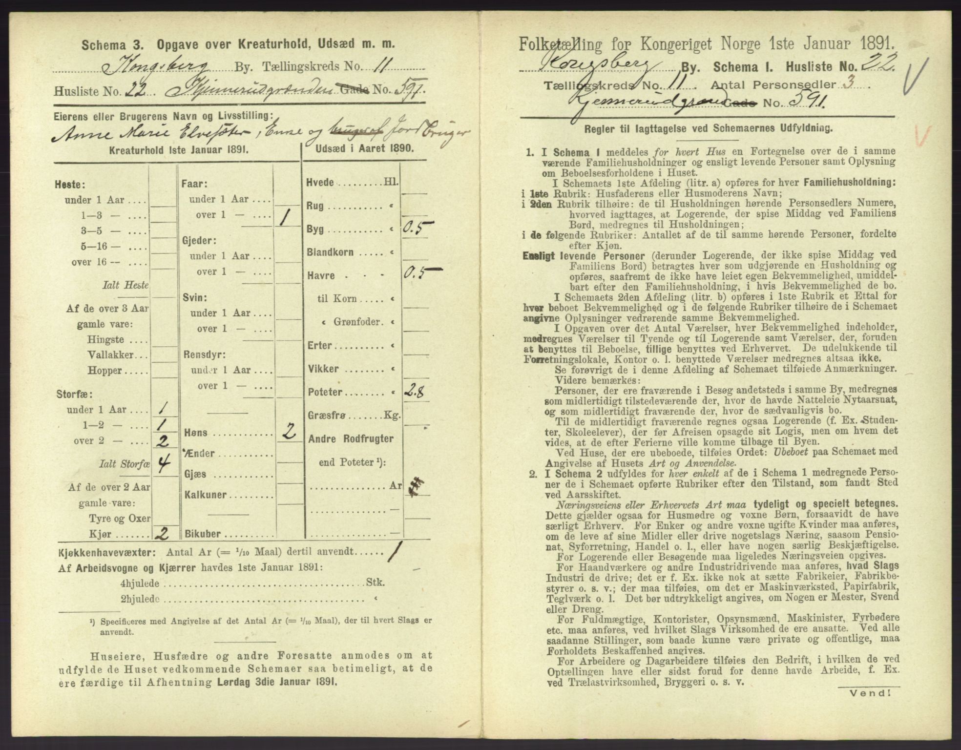 RA, 1891 census for 0604 Kongsberg, 1891, p. 1495