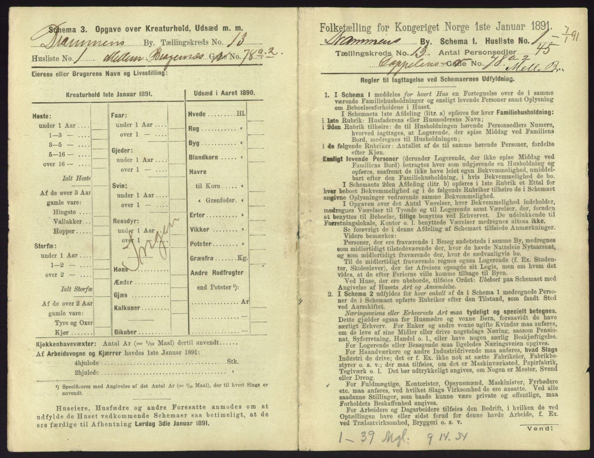 RA, 1891 census for 0602 Drammen, 1891, p. 1073