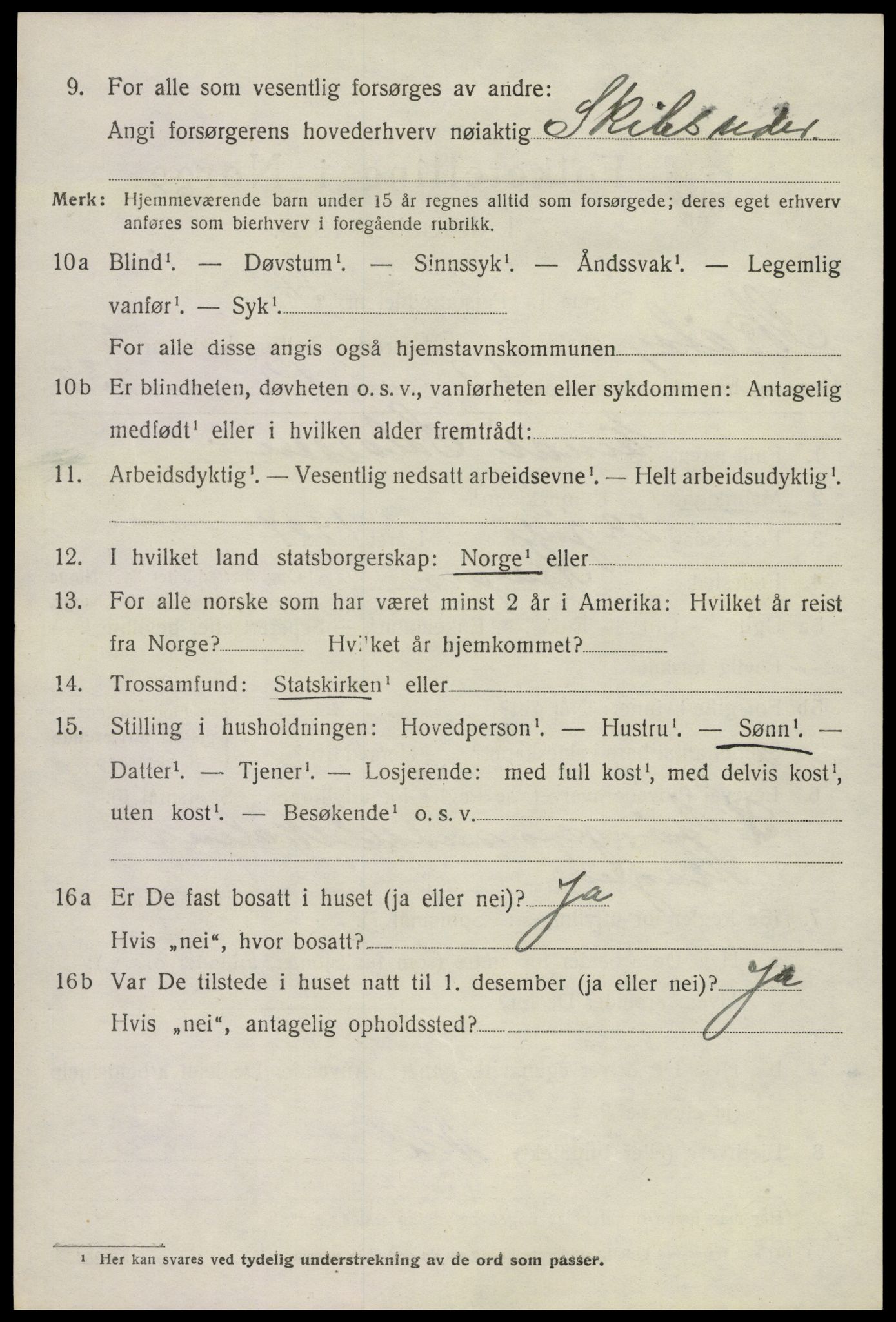SAKO, 1920 census for Skåtøy, 1920, p. 4649