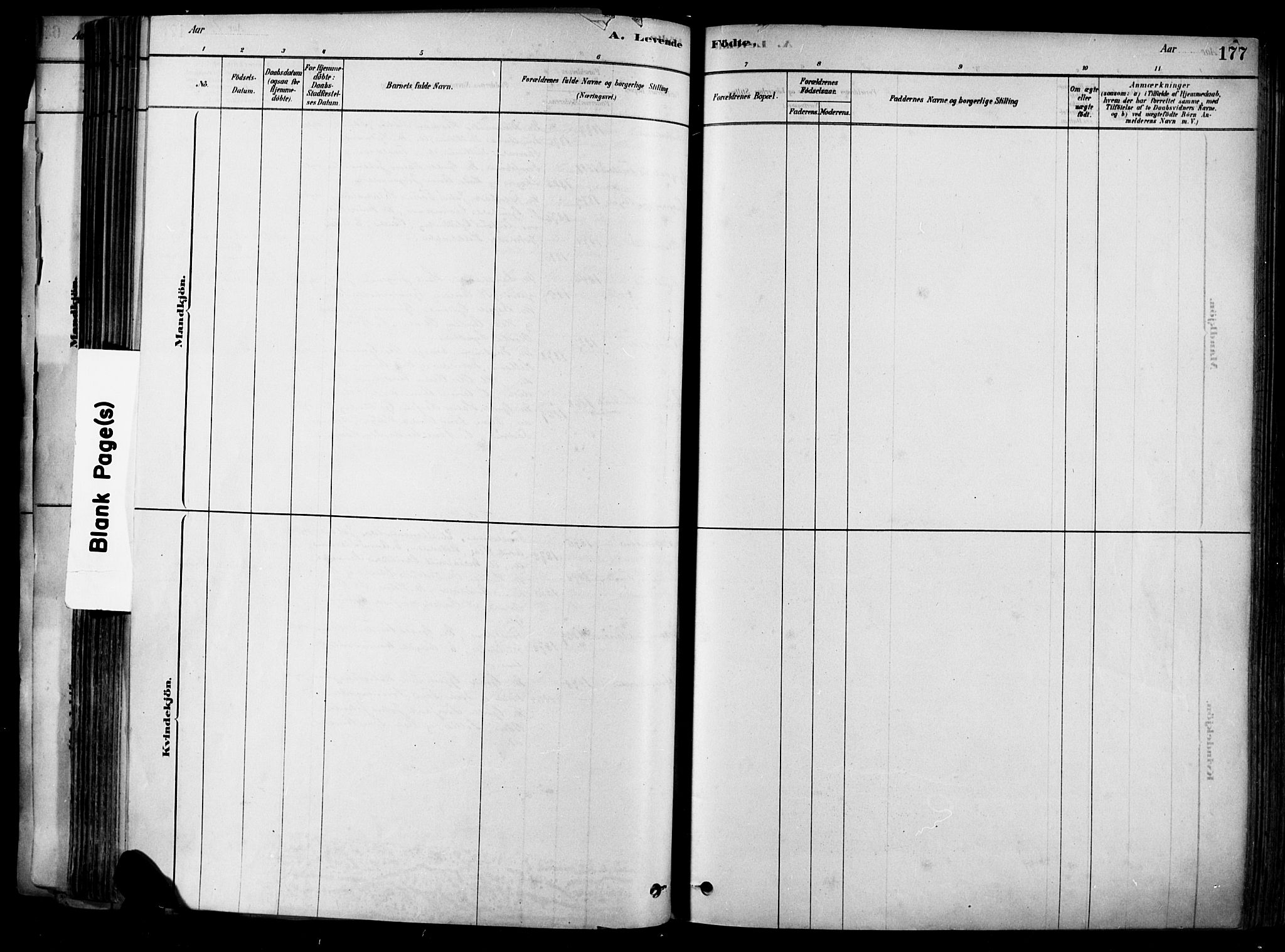 Heddal kirkebøker, SAKO/A-268/F/Fa/L0008: Parish register (official) no. I 8, 1878-1903, p. 177