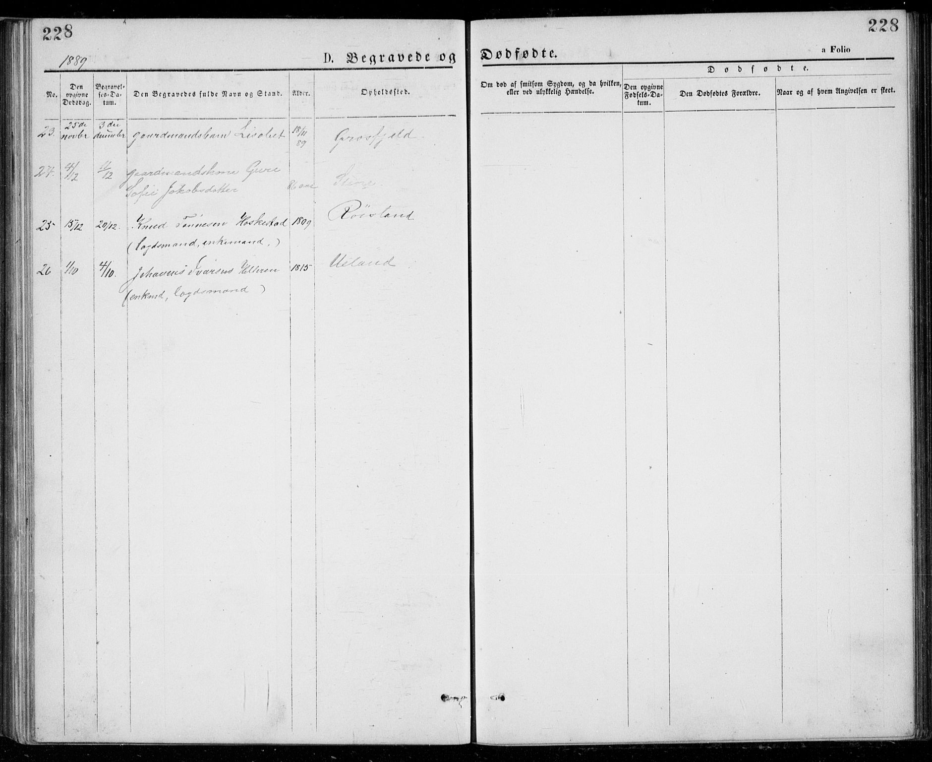 Lund sokneprestkontor, AV/SAST-A-101809/S07/L0005: Parish register (copy) no. B 5, 1875-1889, p. 228