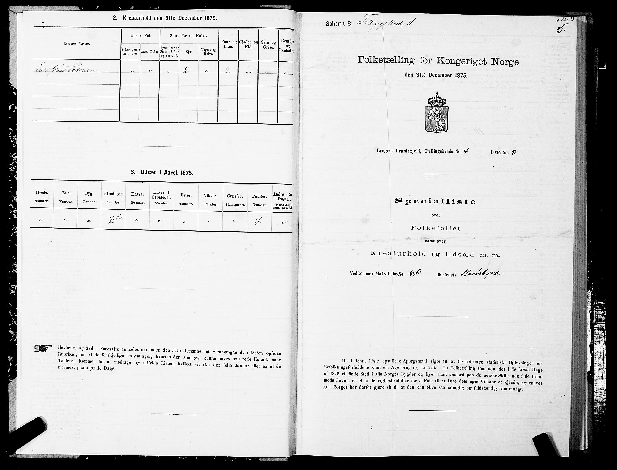 SATØ, 1875 census for 1938P Lyngen, 1875, p. 4005