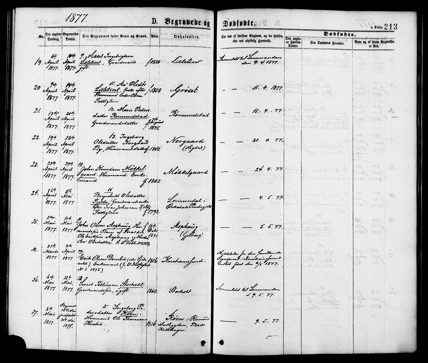 Ministerialprotokoller, klokkerbøker og fødselsregistre - Møre og Romsdal, SAT/A-1454/598/L1068: Parish register (official) no. 598A02, 1872-1881, p. 213