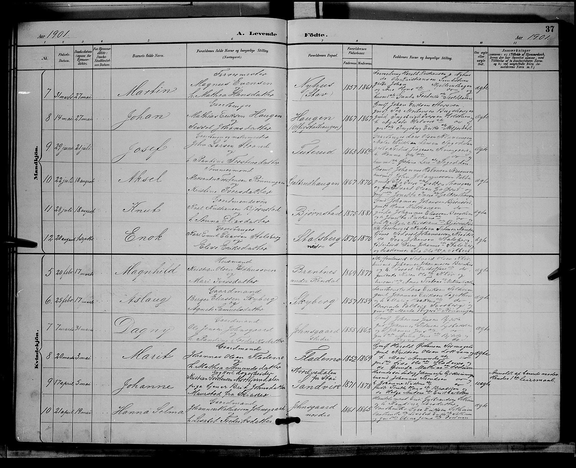 Øyer prestekontor, AV/SAH-PREST-084/H/Ha/Hab/L0004: Parish register (copy) no. 4, 1894-1905, p. 37