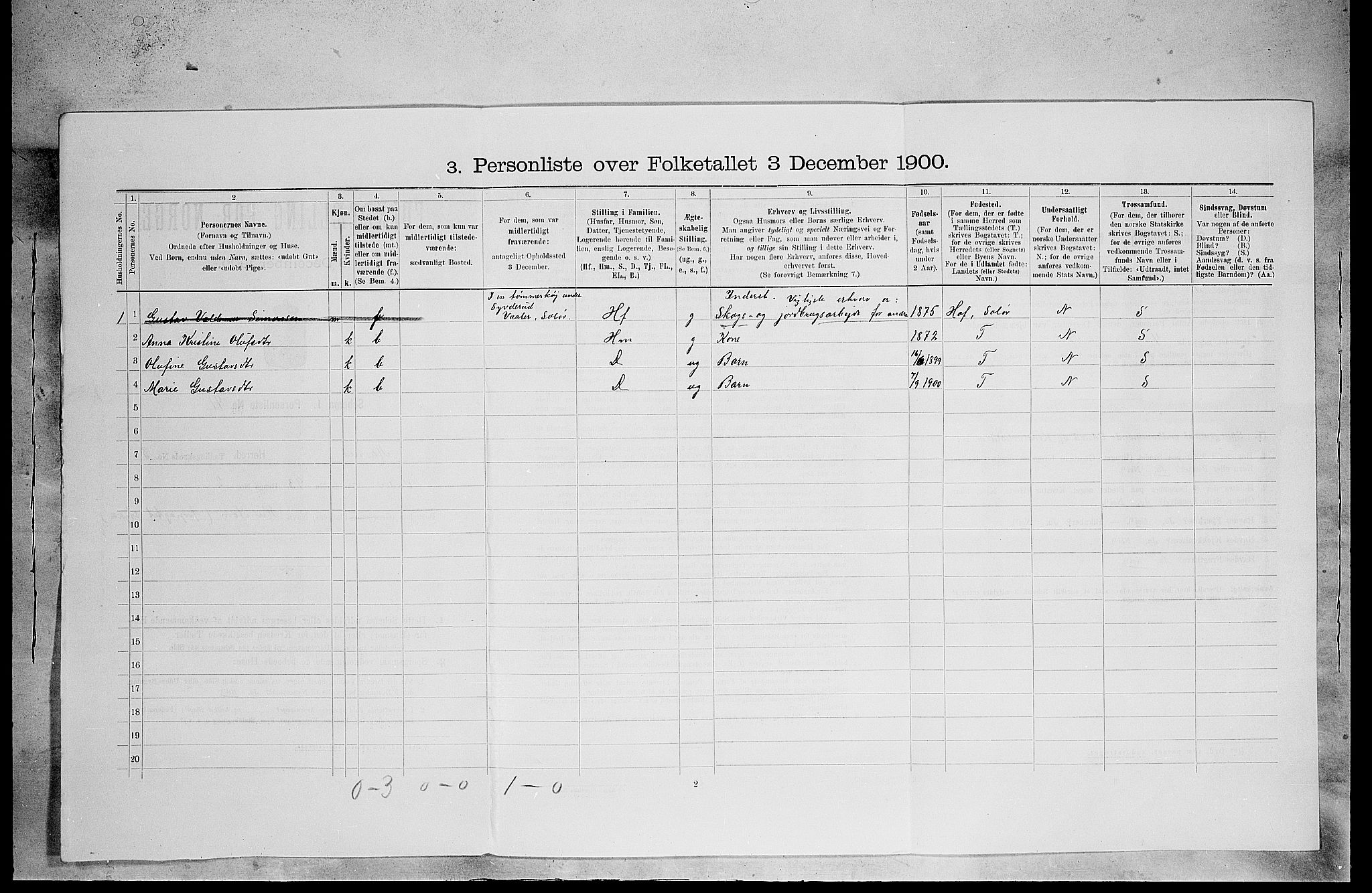 SAH, 1900 census for Åsnes, 1900, p. 501