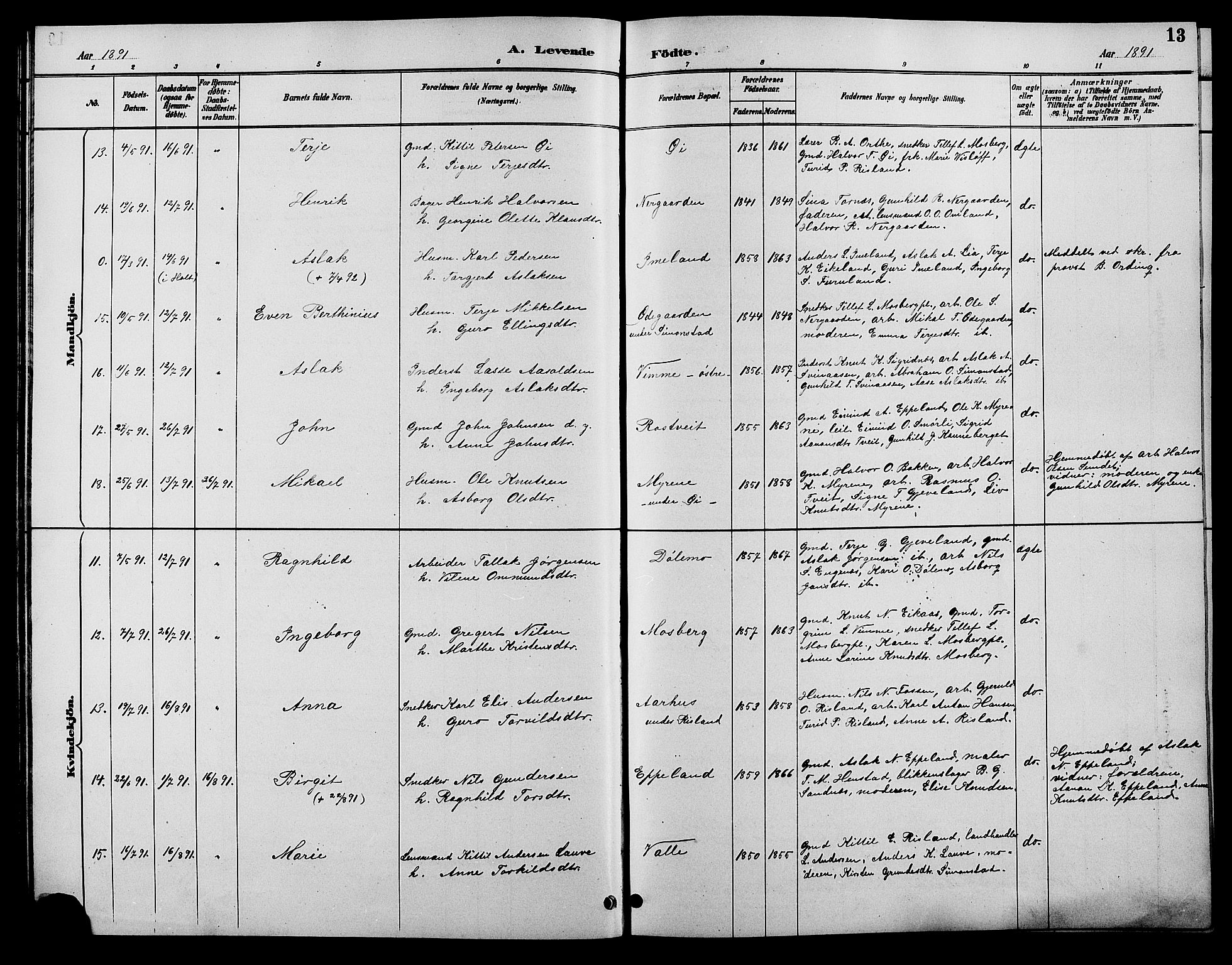 Åmli sokneprestkontor, SAK/1111-0050/F/Fb/Fbc/L0004: Parish register (copy) no. B 4, 1889-1902, p. 13