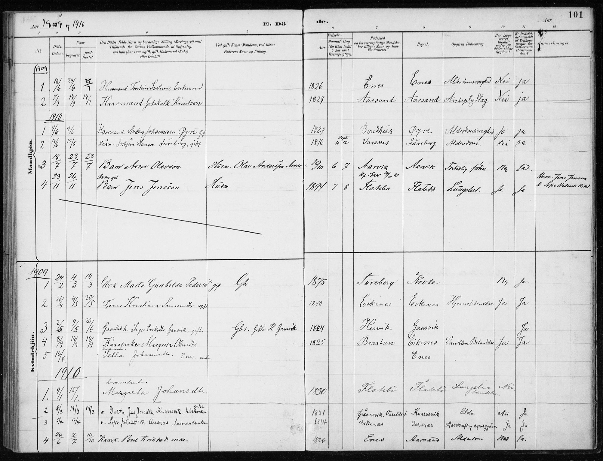 Kvinnherad sokneprestembete, SAB/A-76401/H/Haa: Parish register (official) no. F 1, 1887-1912, p. 101