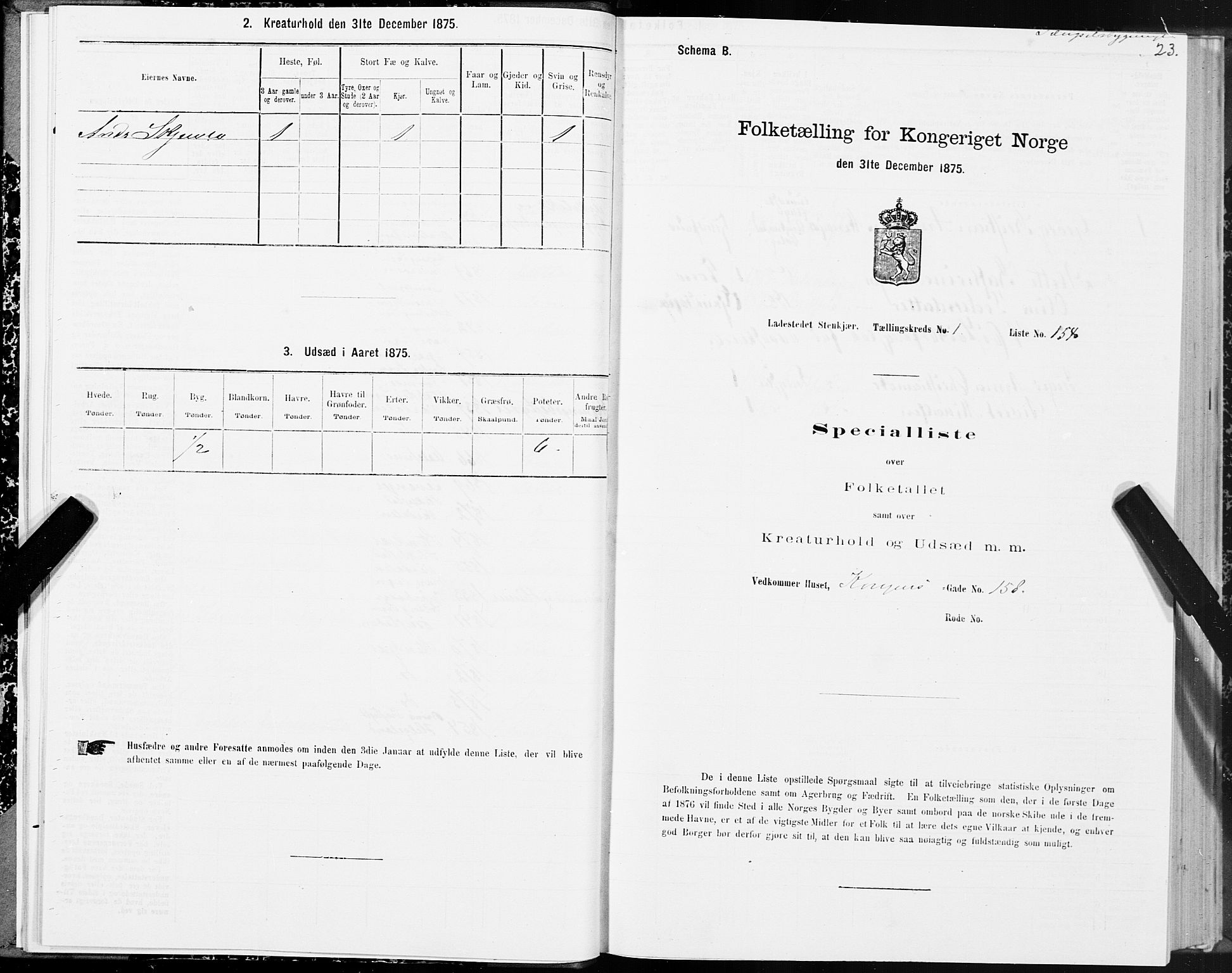 SAT, 1875 census for 1702B Steinkjer/Steinkjer, 1875, p. 23
