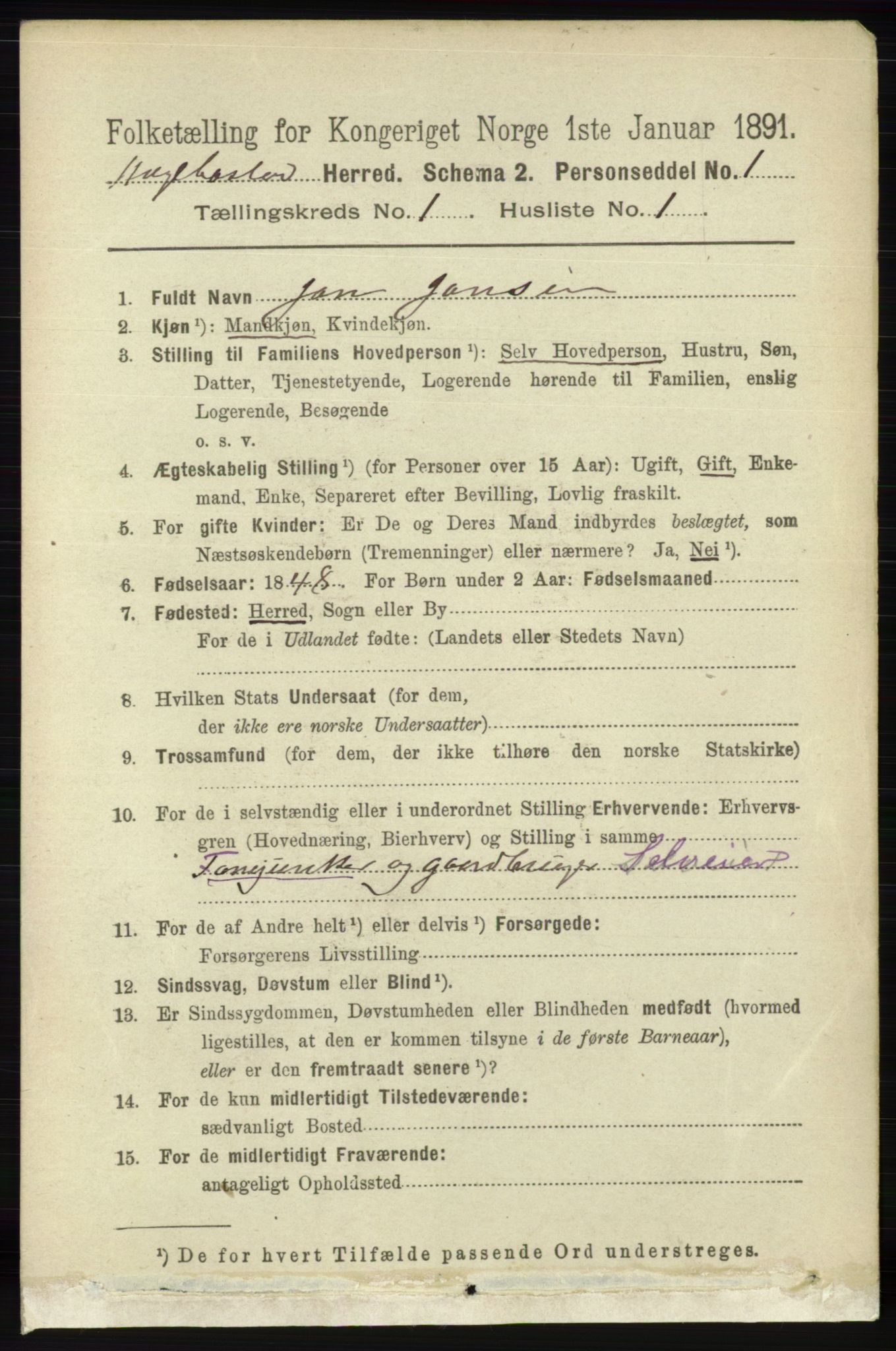 RA, 1891 census for 1034 Hægebostad, 1891, p. 89