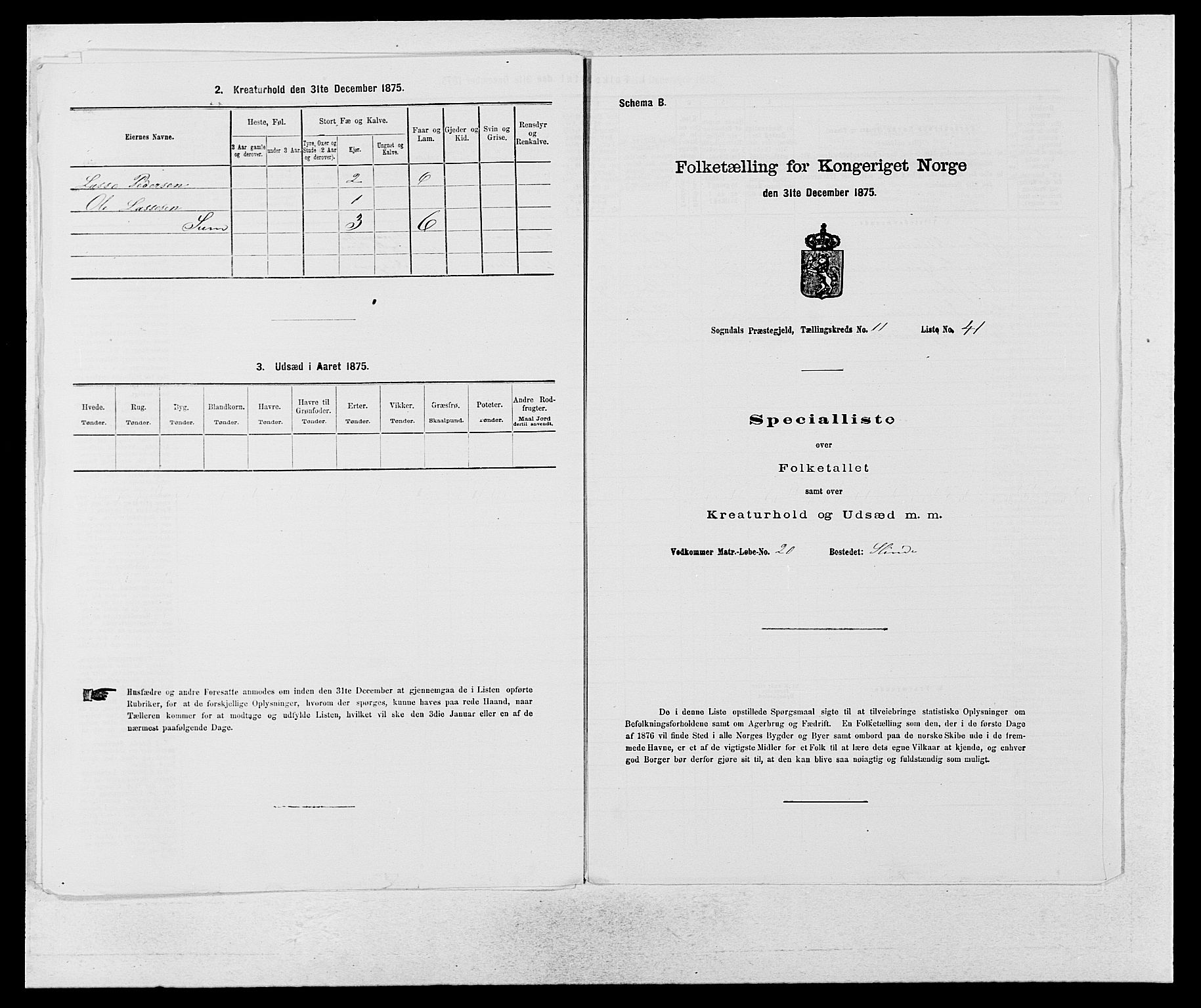 SAB, 1875 census for 1420P Sogndal, 1875, p. 1060