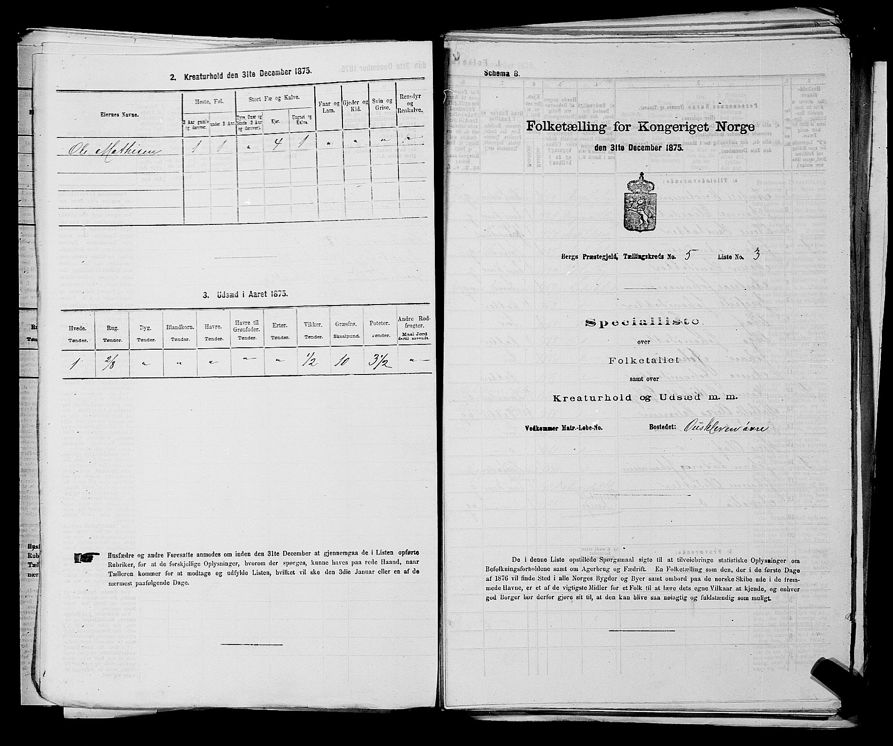 RA, 1875 census for 0116P Berg, 1875, p. 685