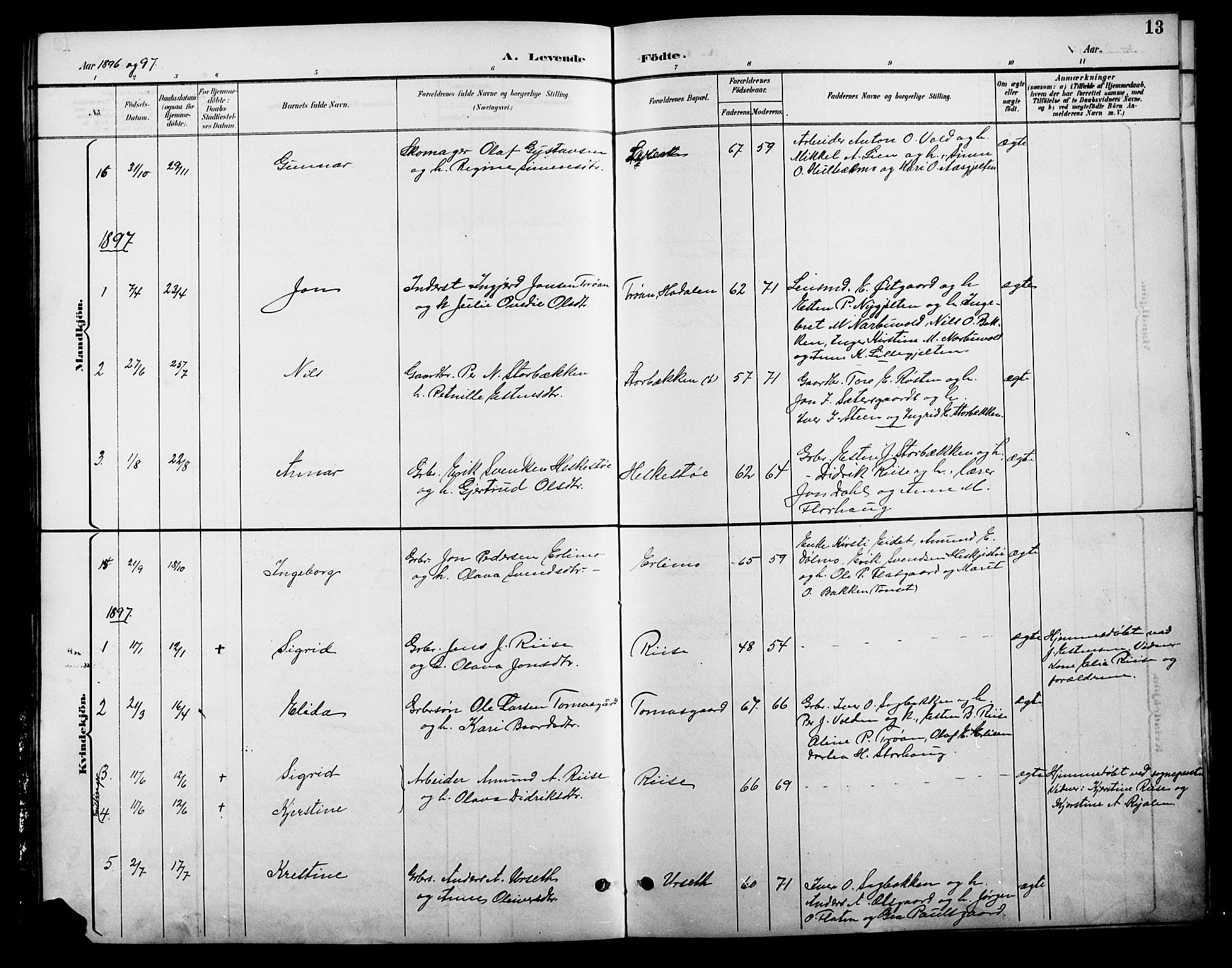 Tolga prestekontor, AV/SAH-PREST-062/L/L0009: Parish register (copy) no. 9, 1892-1919, p. 13