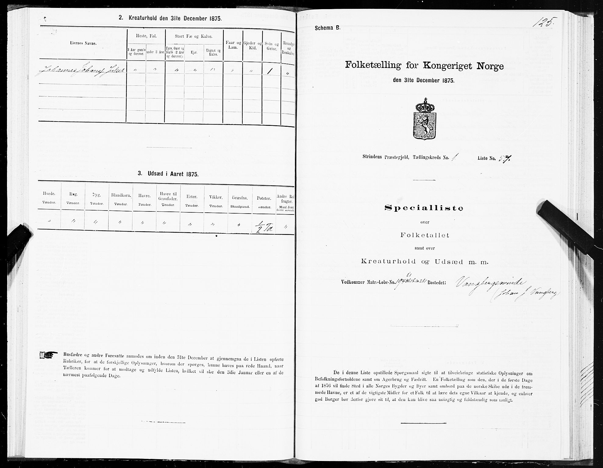 SAT, 1875 census for 1660P Strinda, 1875, p. 1125