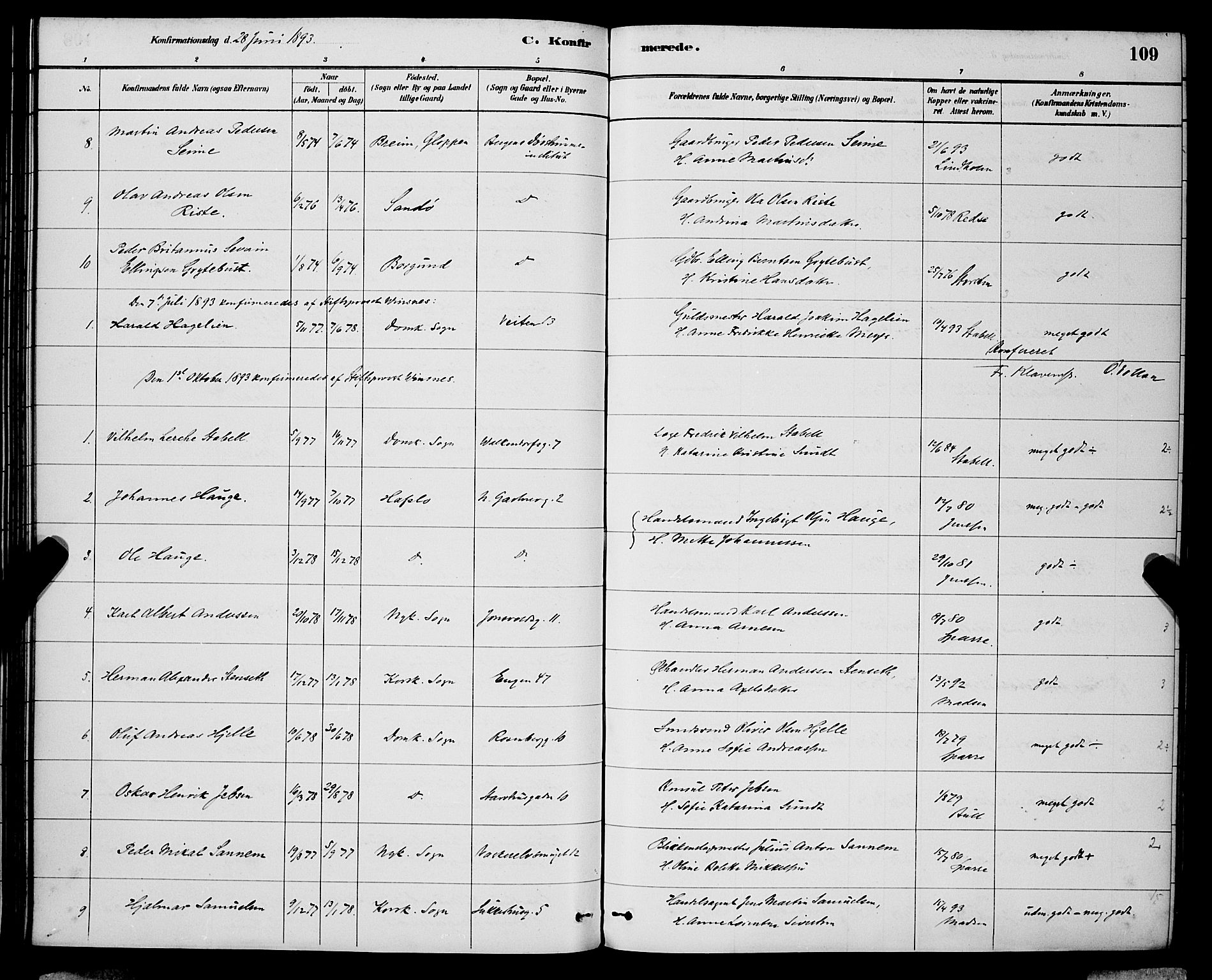 Domkirken sokneprestembete, AV/SAB-A-74801/H/Hab/L0024: Parish register (copy) no. C 4, 1880-1899, p. 109