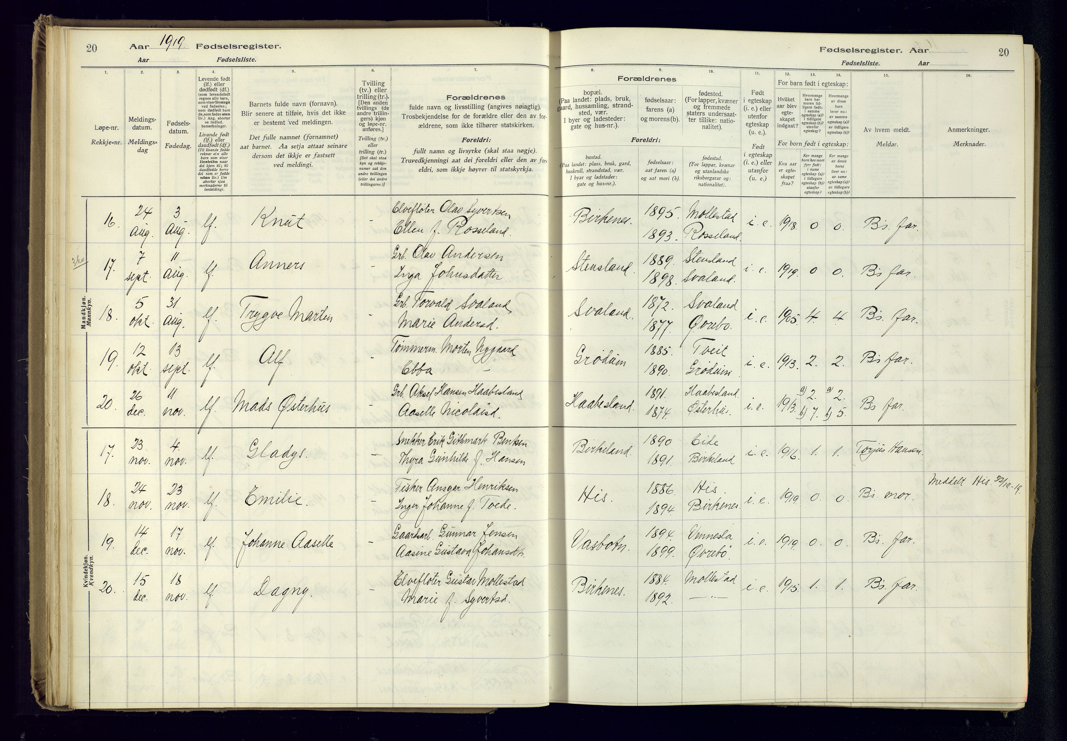 Birkenes sokneprestkontor, SAK/1111-0004/J/Ja/L0001: Birth register no. II.6.4, 1916-1962, p. 20