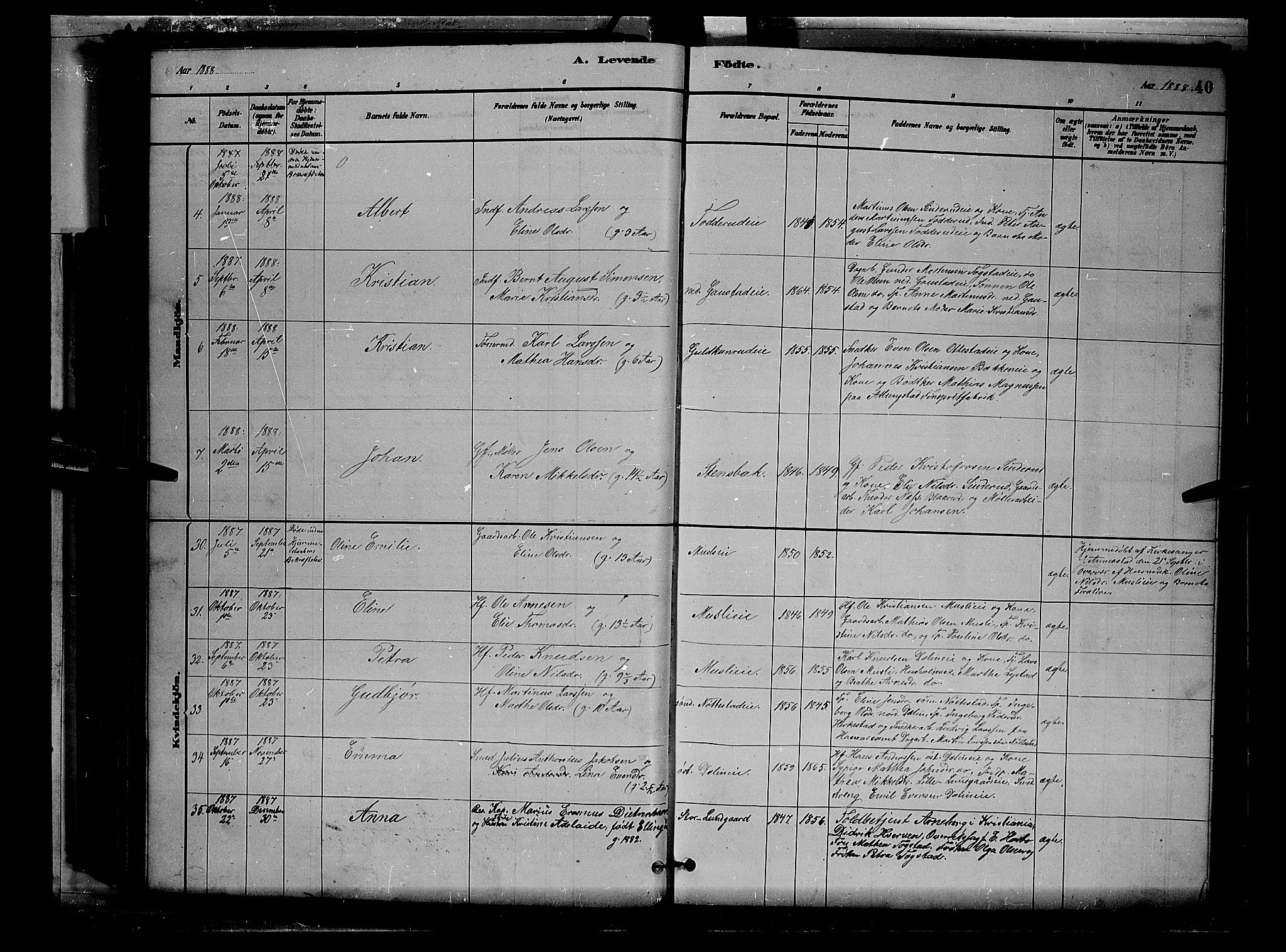 Stange prestekontor, AV/SAH-PREST-002/L/L0007: Parish register (copy) no. 7, 1880-1893, p. 40