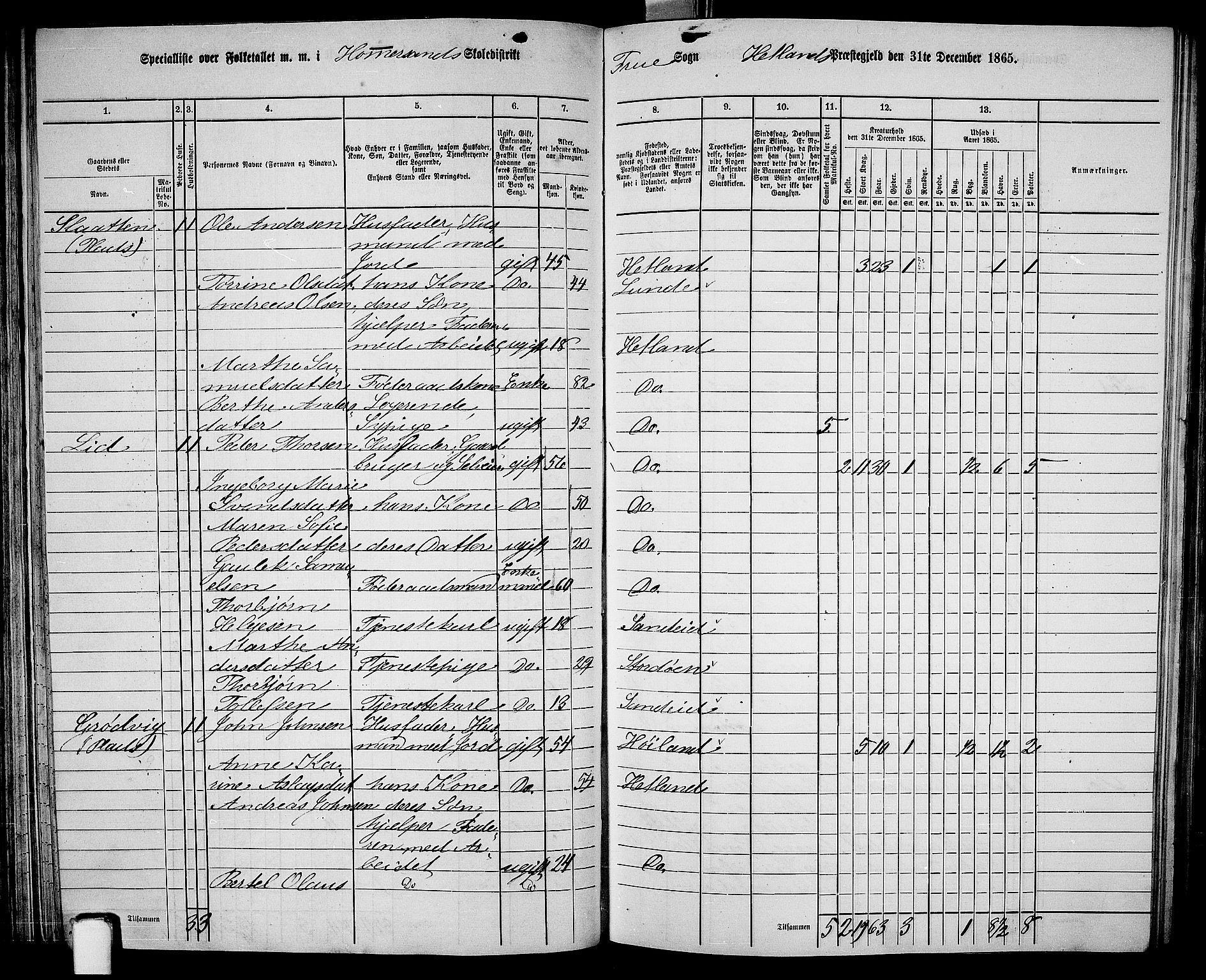 RA, 1865 census for Hetland, 1865, p. 86