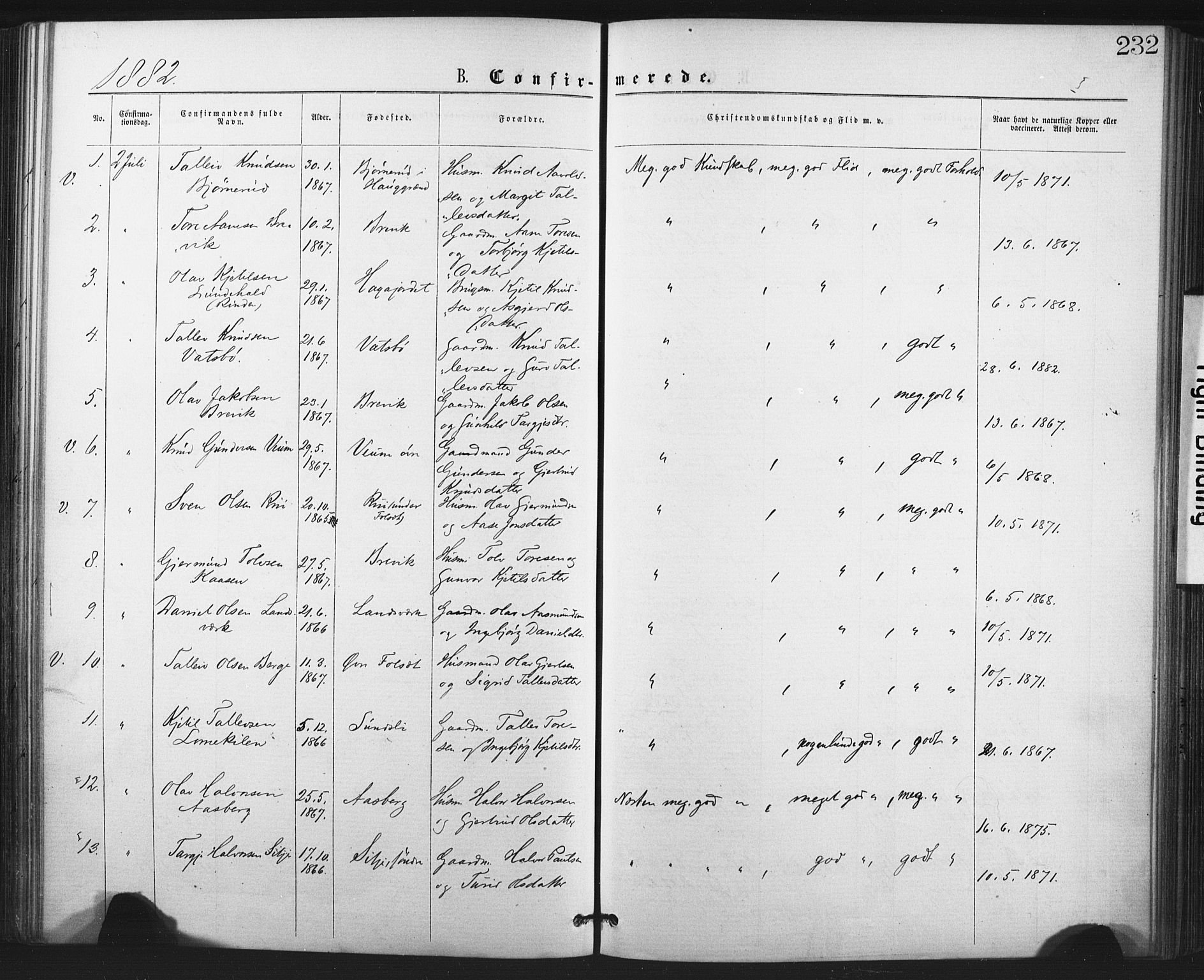 Fyresdal kirkebøker, SAKO/A-263/F/Fa/L0006: Parish register (official) no. I 6, 1872-1886, p. 232