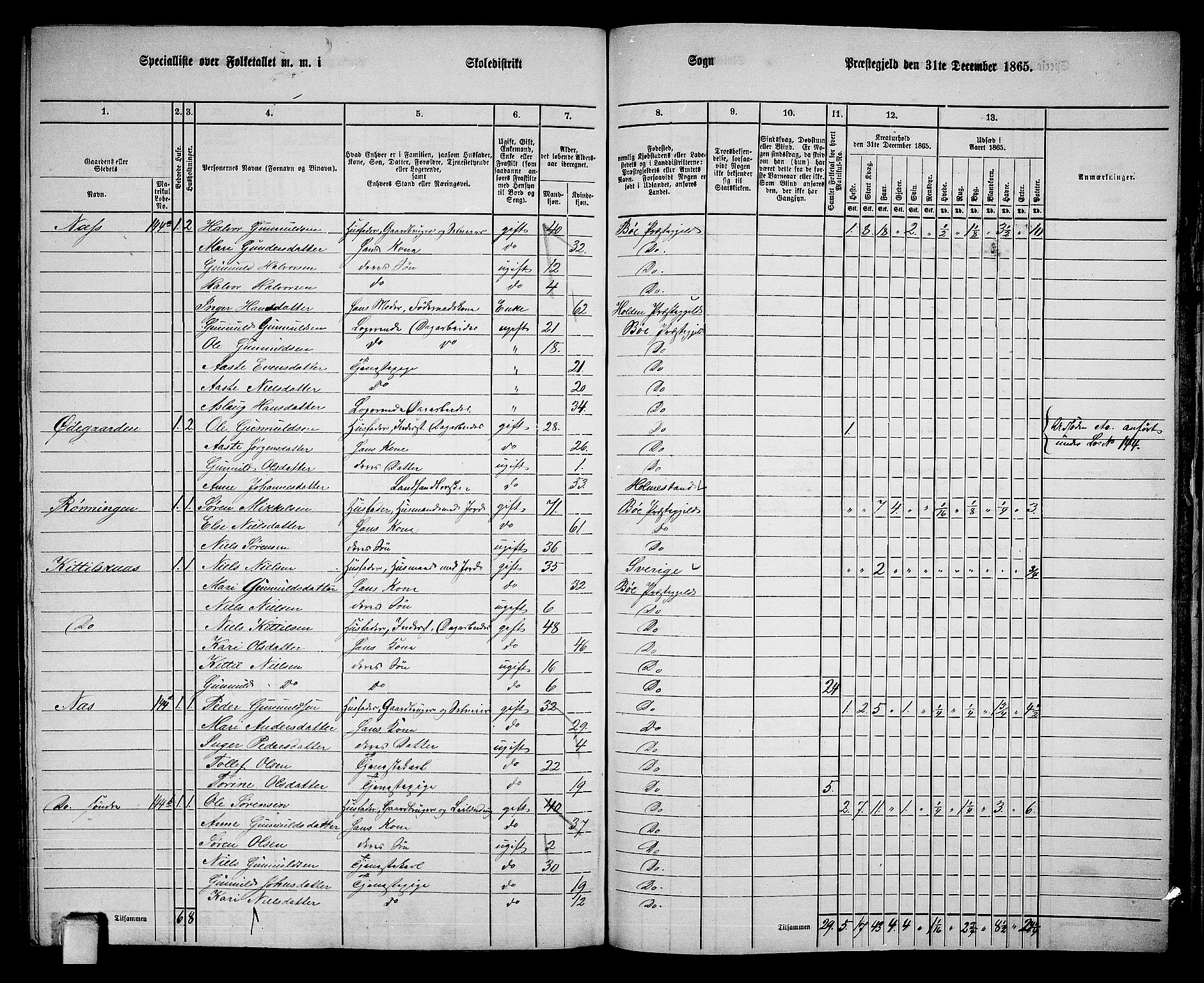 RA, 1865 census for Bø, 1865, p. 199