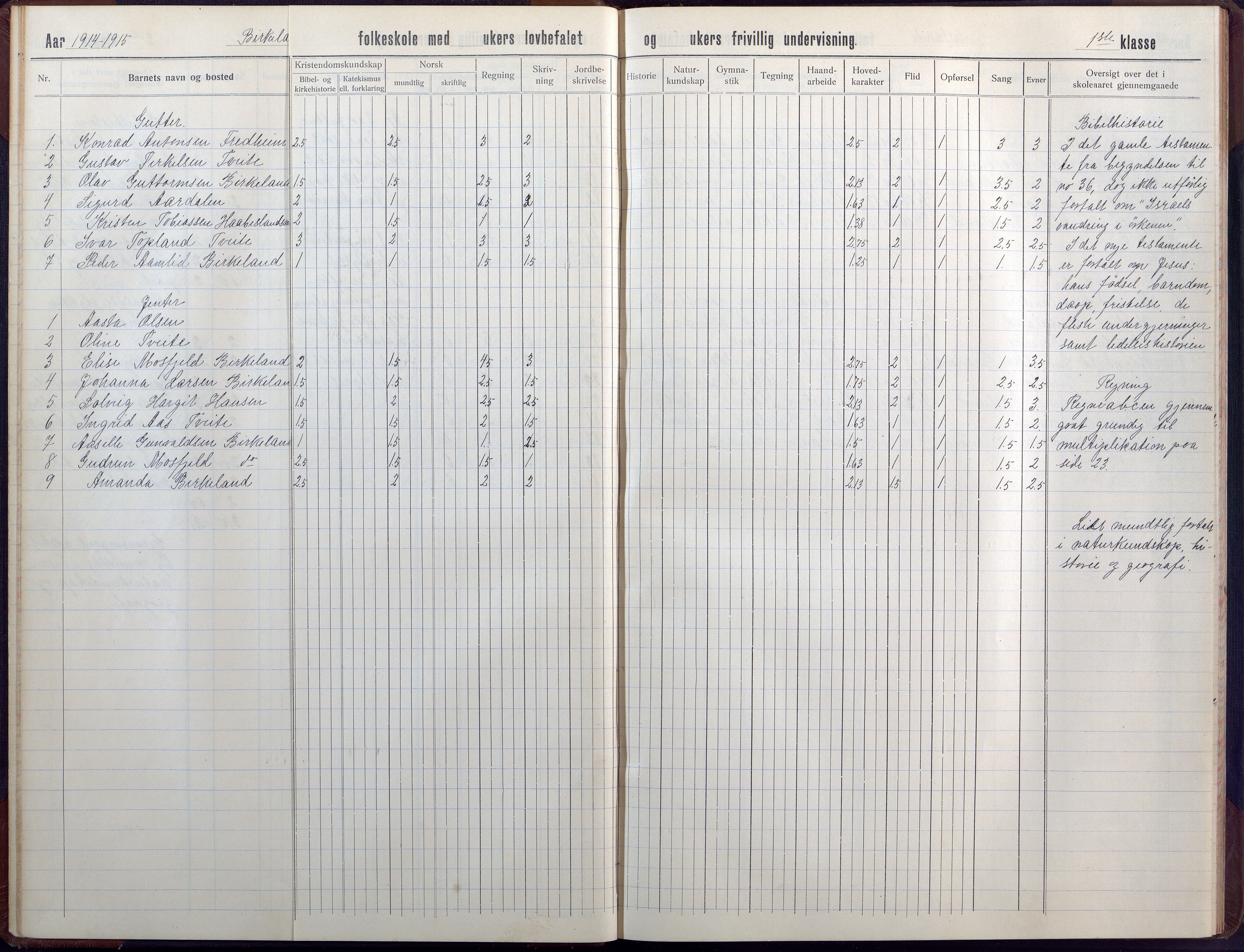 Birkenes kommune, Birkenes krets/Birkeland folkeskole frem til 1991, AAMA/KA0928-550a_91/F02/L0008: Skoleprotokoll, 1911-1930
