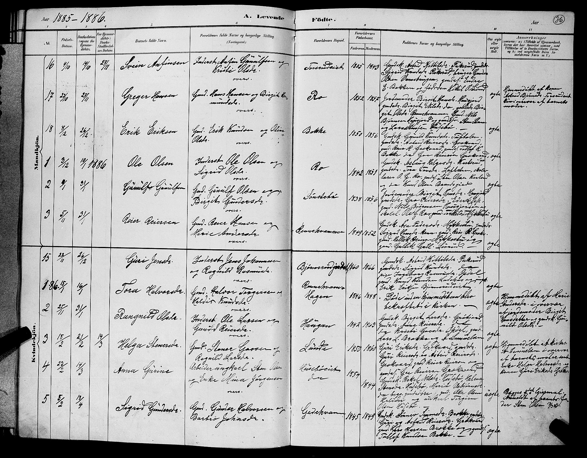 Nore kirkebøker, AV/SAKO-A-238/G/Gb/L0002: Parish register (copy) no. II 2, 1878-1894, p. 36