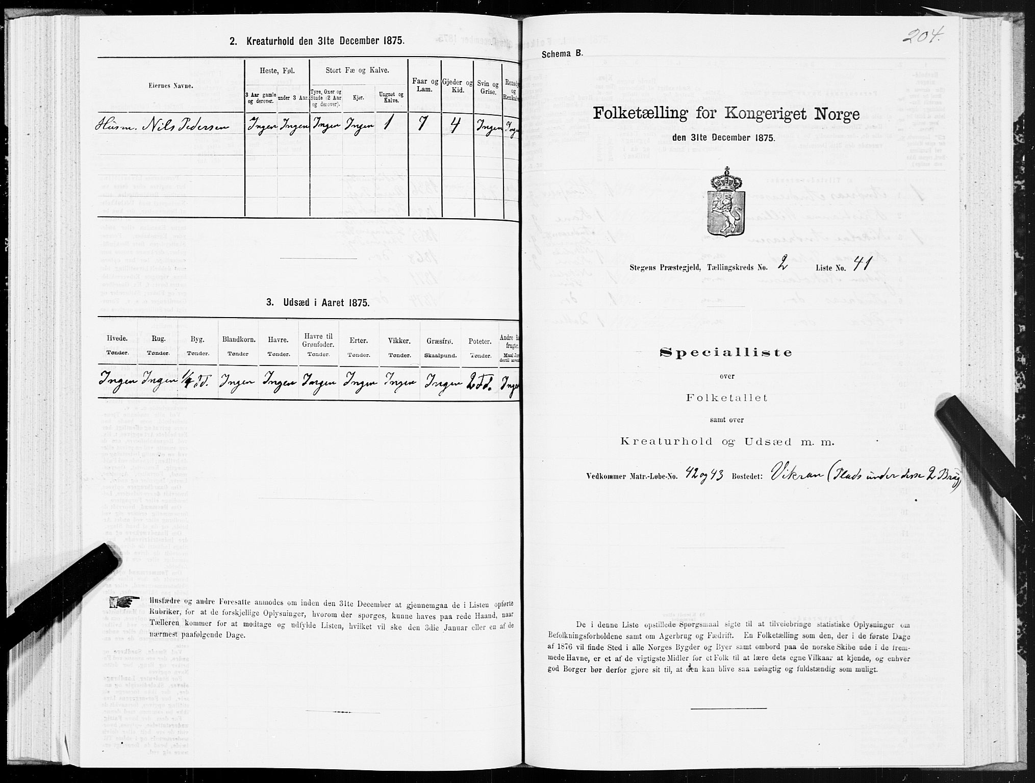 SAT, 1875 census for 1848P Steigen, 1875, p. 1204