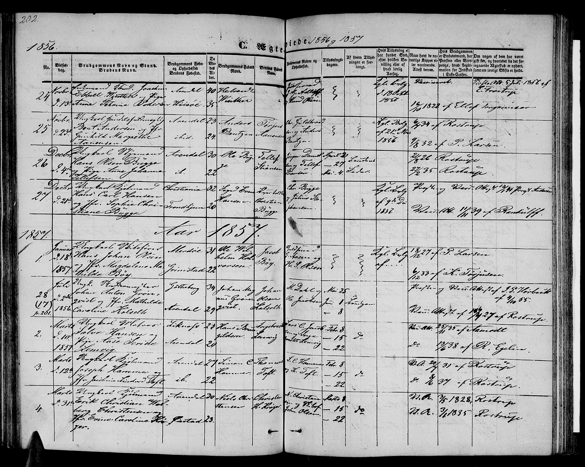 Arendal sokneprestkontor, Trefoldighet, SAK/1111-0040/F/Fb/L0002: Parish register (copy) no. B 2, 1838-1860, p. 202