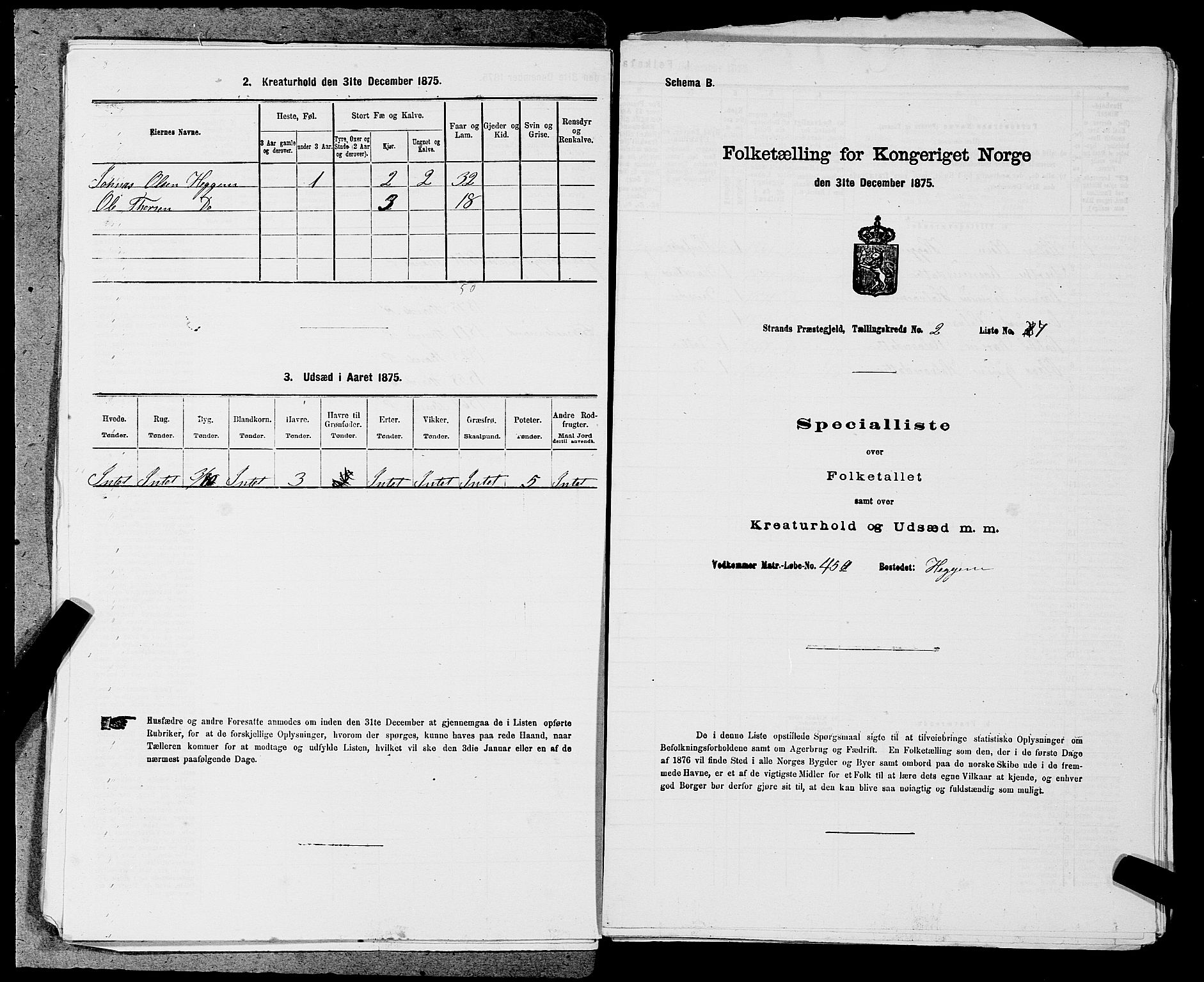 SAST, 1875 census for 1130P Strand, 1875, p. 172