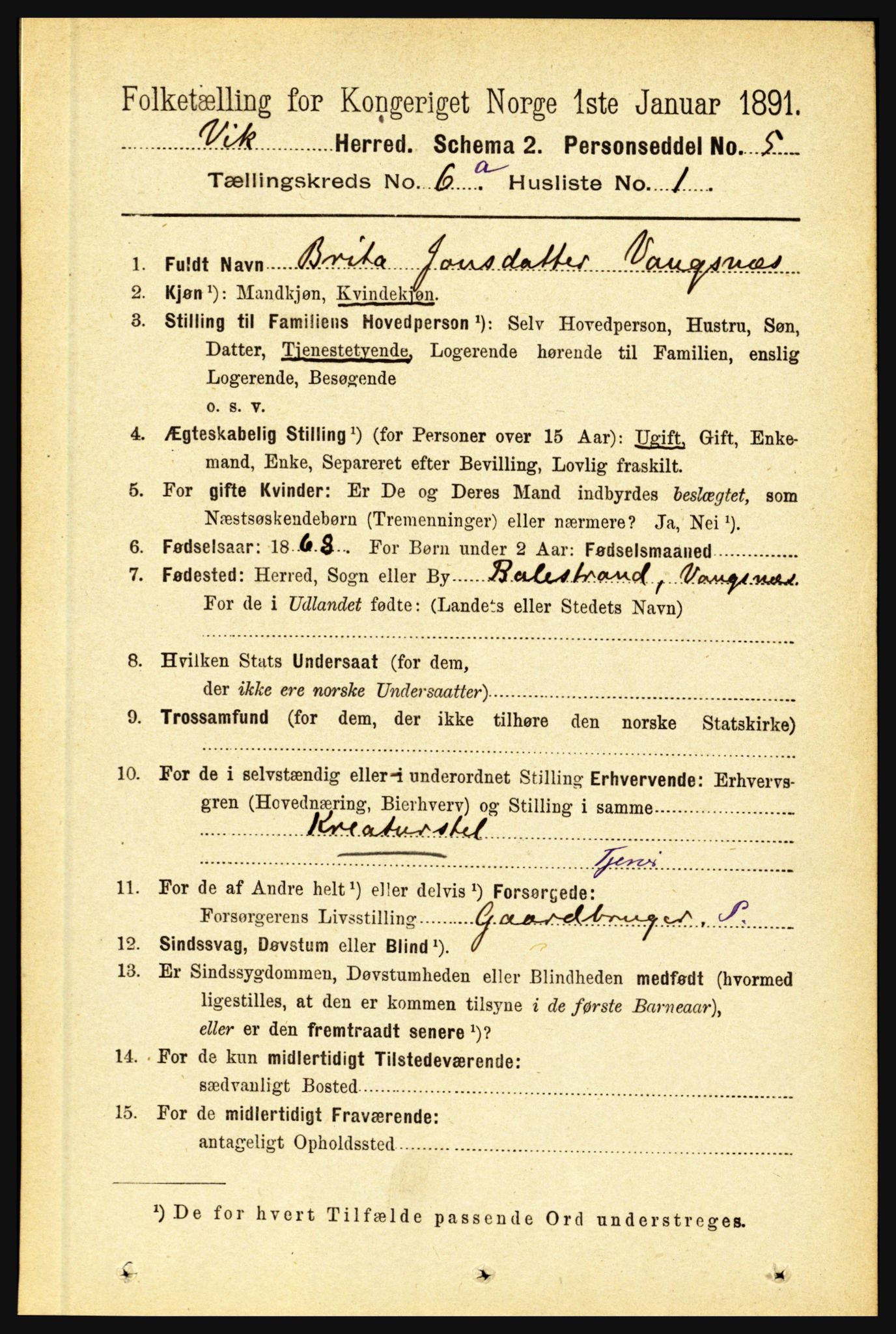 RA, 1891 census for 1417 Vik, 1891, p. 2817