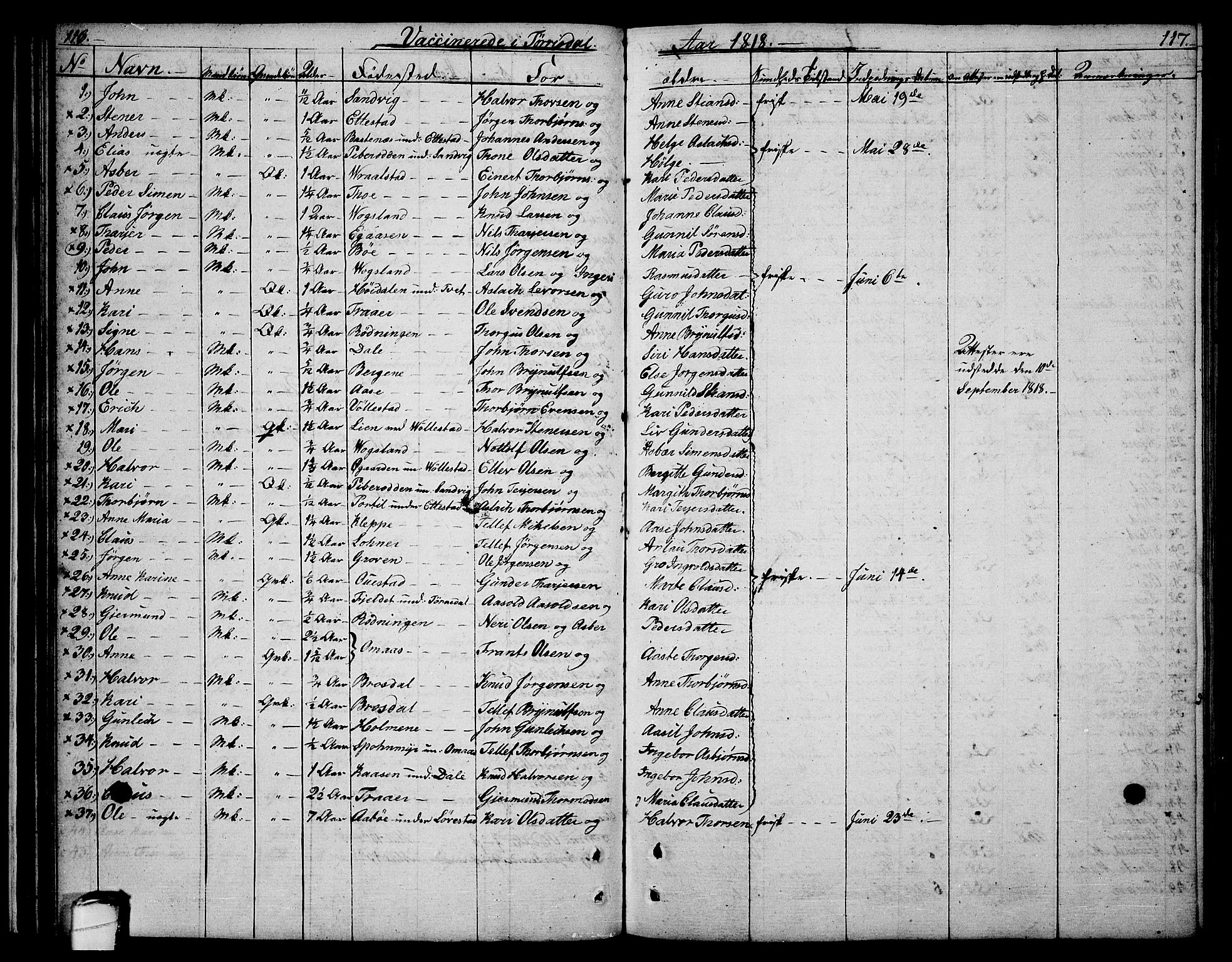 Drangedal kirkebøker, SAKO/A-258/F/Fa/L0004: Parish register (official) no. 4, 1802-1814, p. 116-117