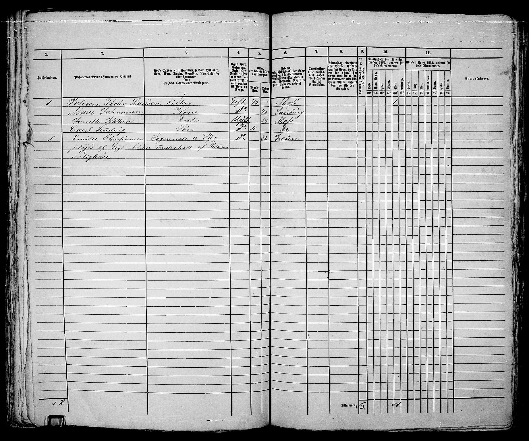 RA, 1865 census for Moss/Moss, 1865, p. 539