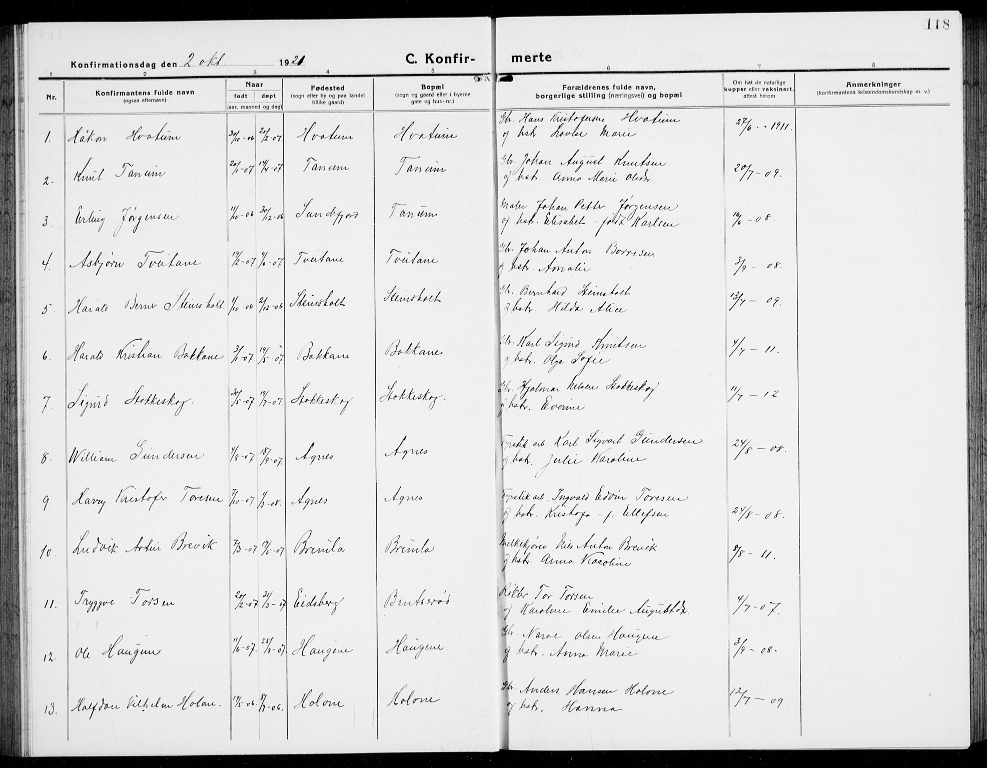 Brunlanes kirkebøker, SAKO/A-342/G/Ga/L0005: Parish register (copy) no. I 5, 1918-1941, p. 118