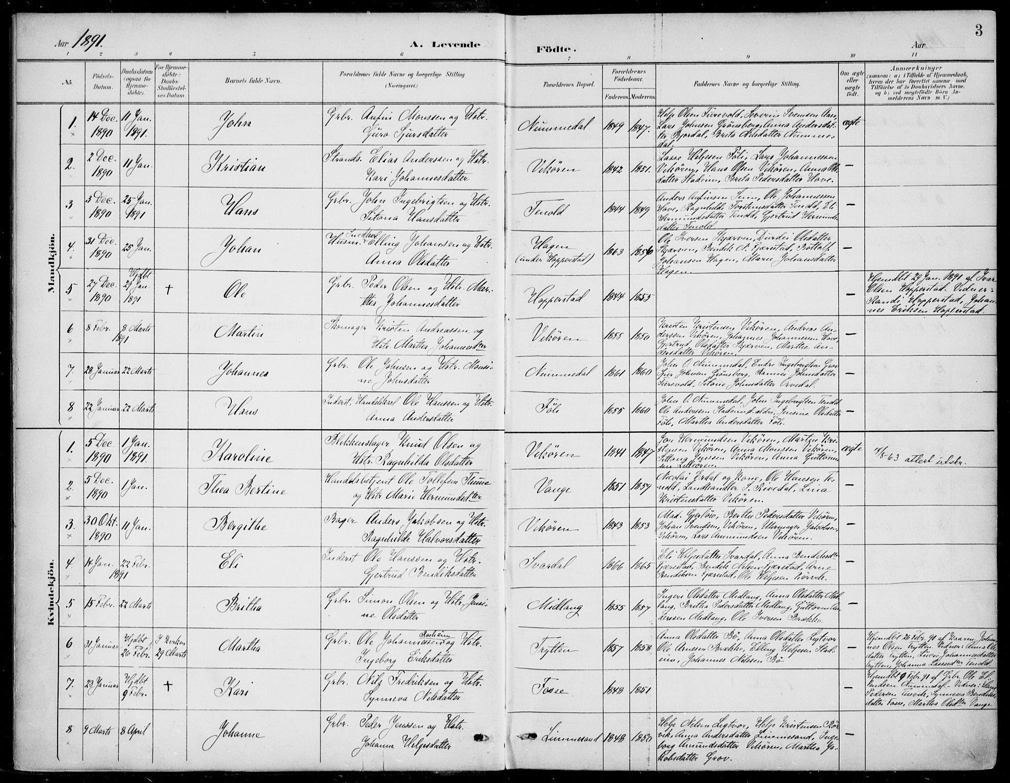 Vik sokneprestembete, AV/SAB-A-81501/H/Haa/Haab/L0002: Parish register (official) no. B  2, 1891-1907, p. 3