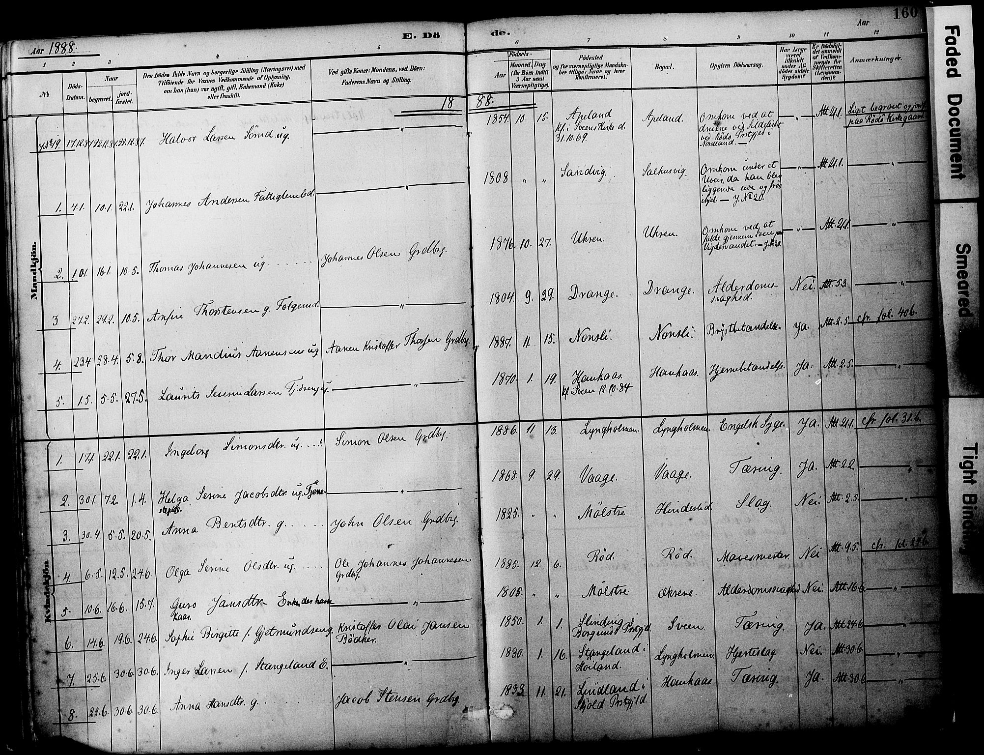 Sveio Sokneprestembete, AV/SAB-A-78501/H/Haa: Parish register (official) no. B 2, 1883-1894, p. 160