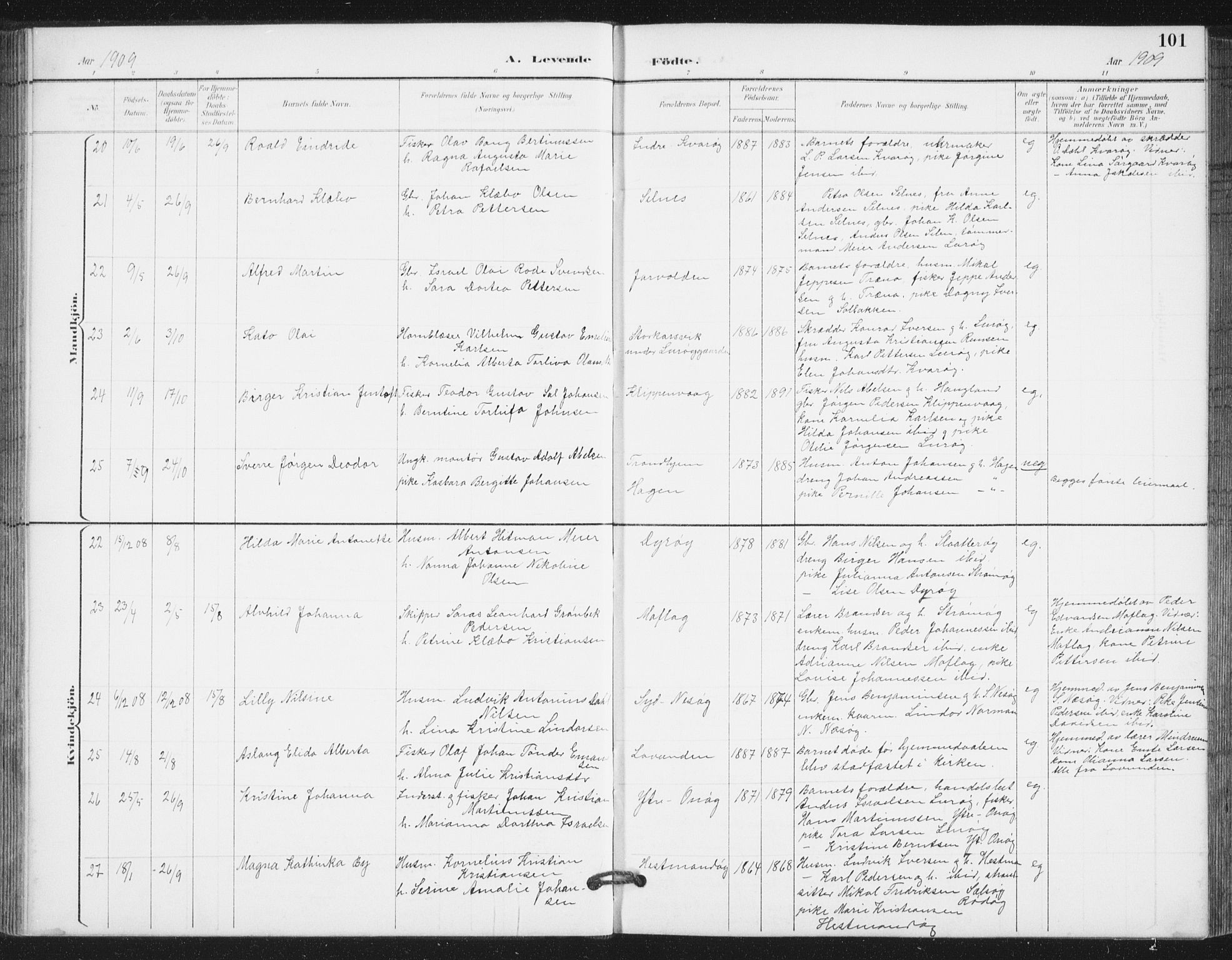 Ministerialprotokoller, klokkerbøker og fødselsregistre - Nordland, AV/SAT-A-1459/839/L0573: Parish register (copy) no. 839C03, 1892-1917, p. 101