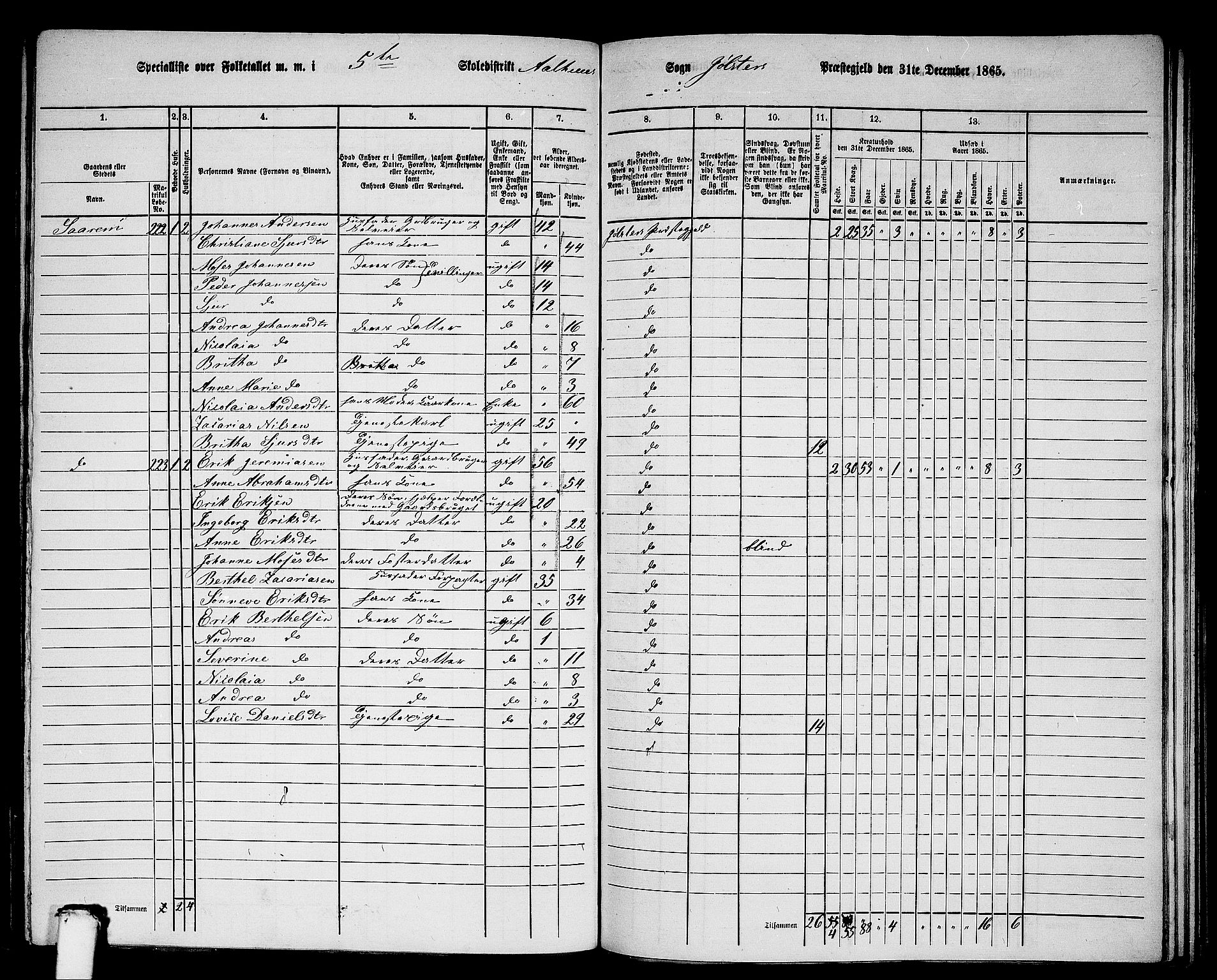 RA, 1865 census for Jølster, 1865, p. 115